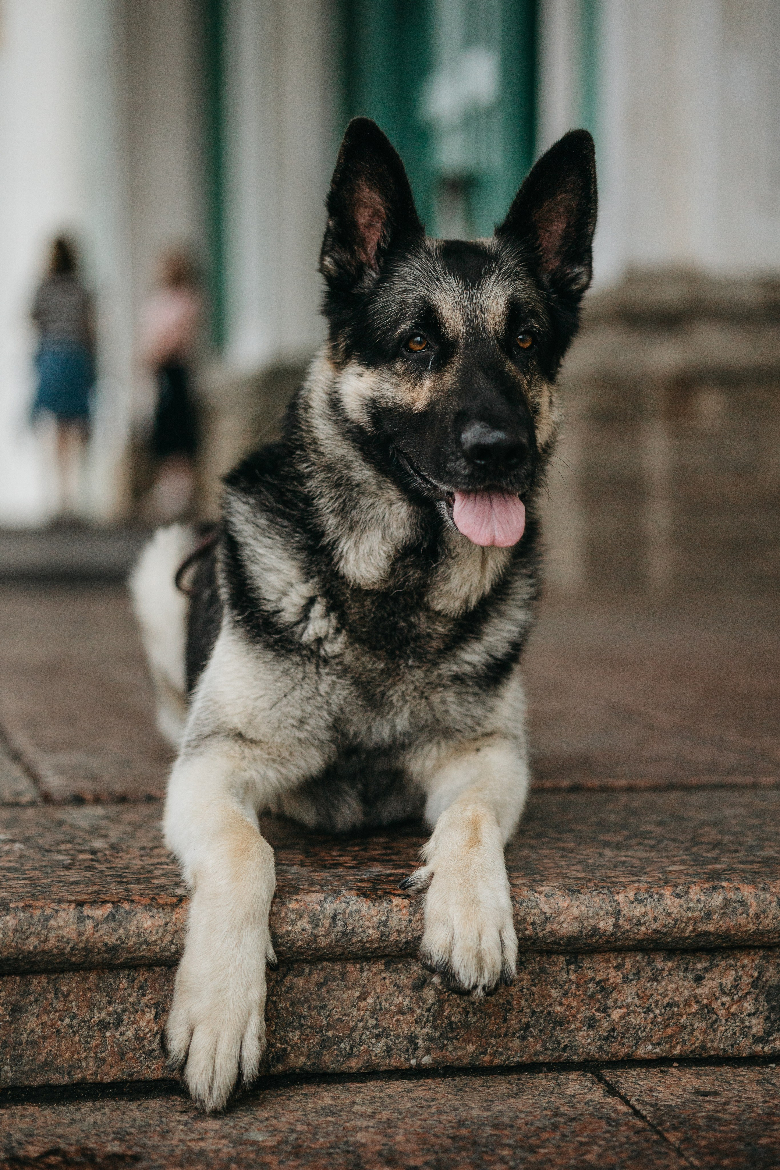 Рей и Ксения. Фотограф — Анималист | Санкт-Петербург