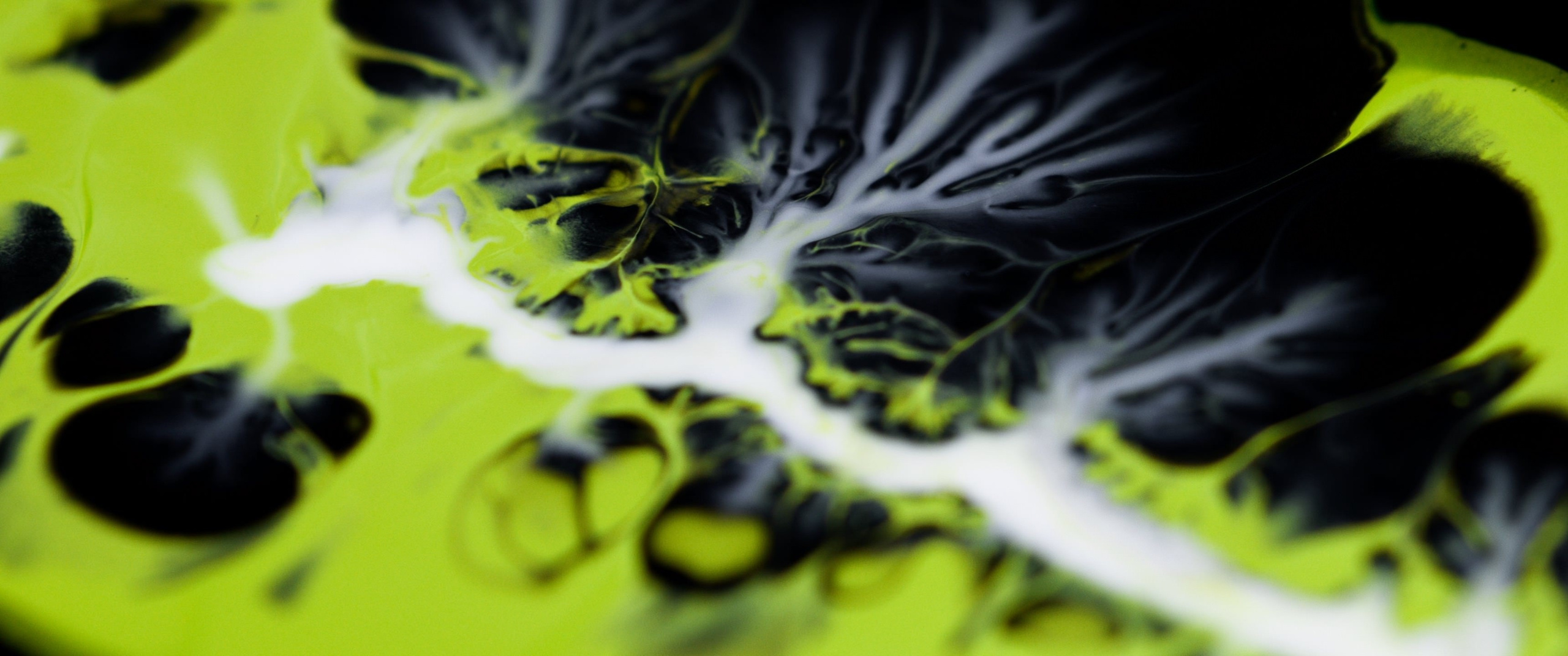 Genesis. Short films by Vadim Sherbakov