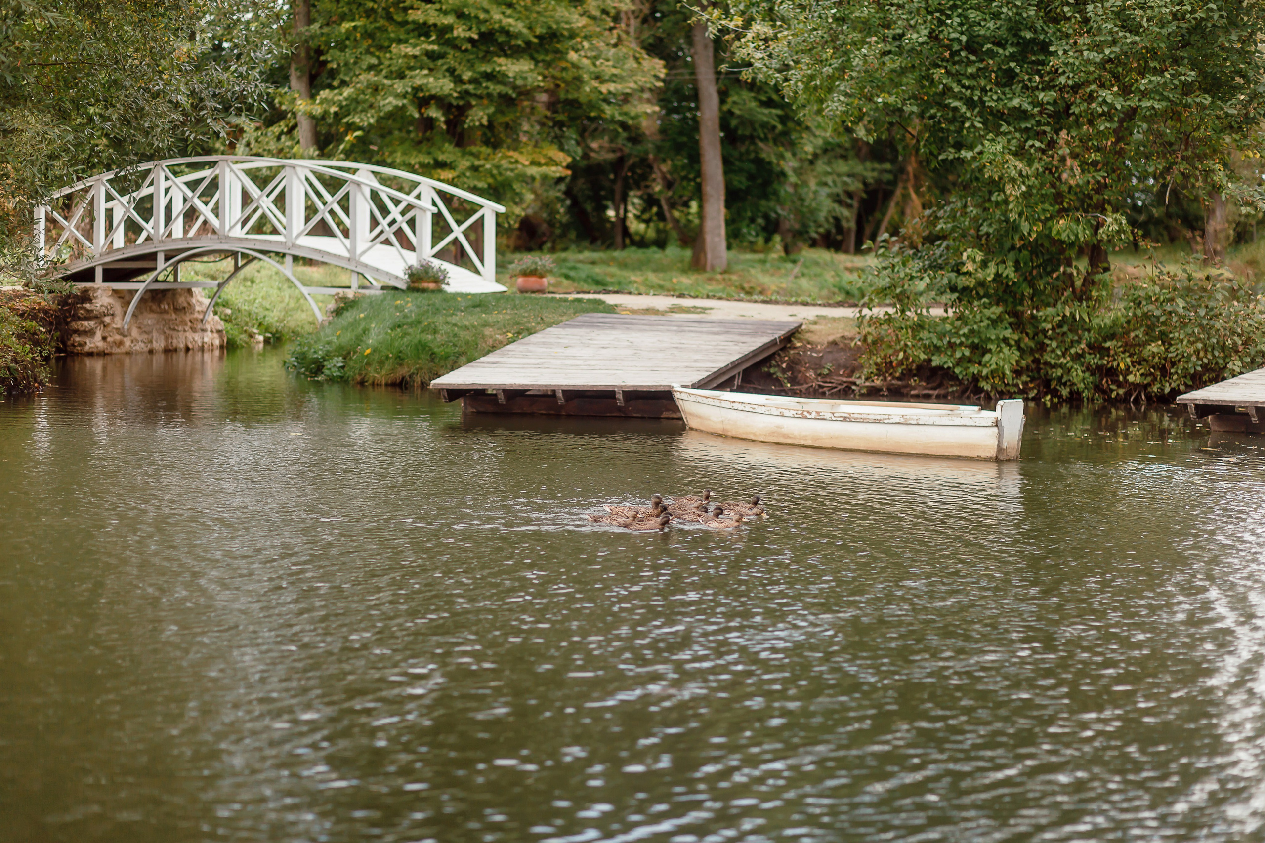 ДМИТРИЙ И ВИКТОРИЯ. Свадебный фотограф в Воронеже Ирина Кривцова