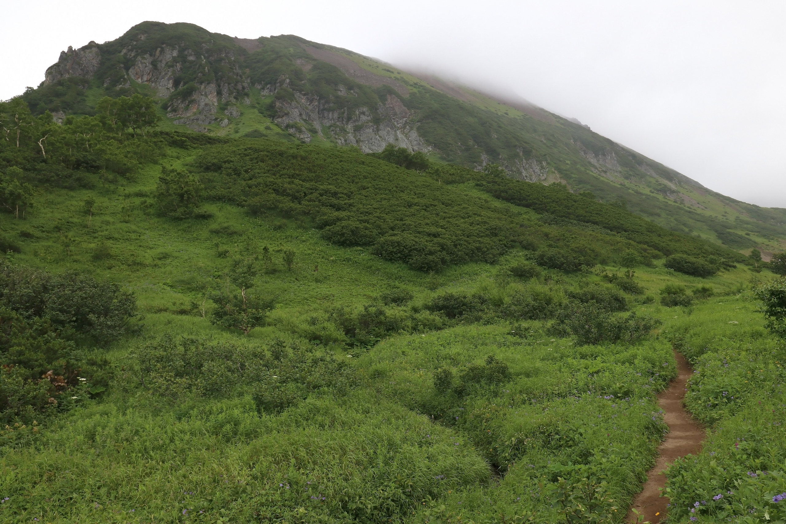Камчатка и о. Парамушир. Июль 2024. Путешественник-фотограф из Санкт-Петербурга Татьяна Свистулина