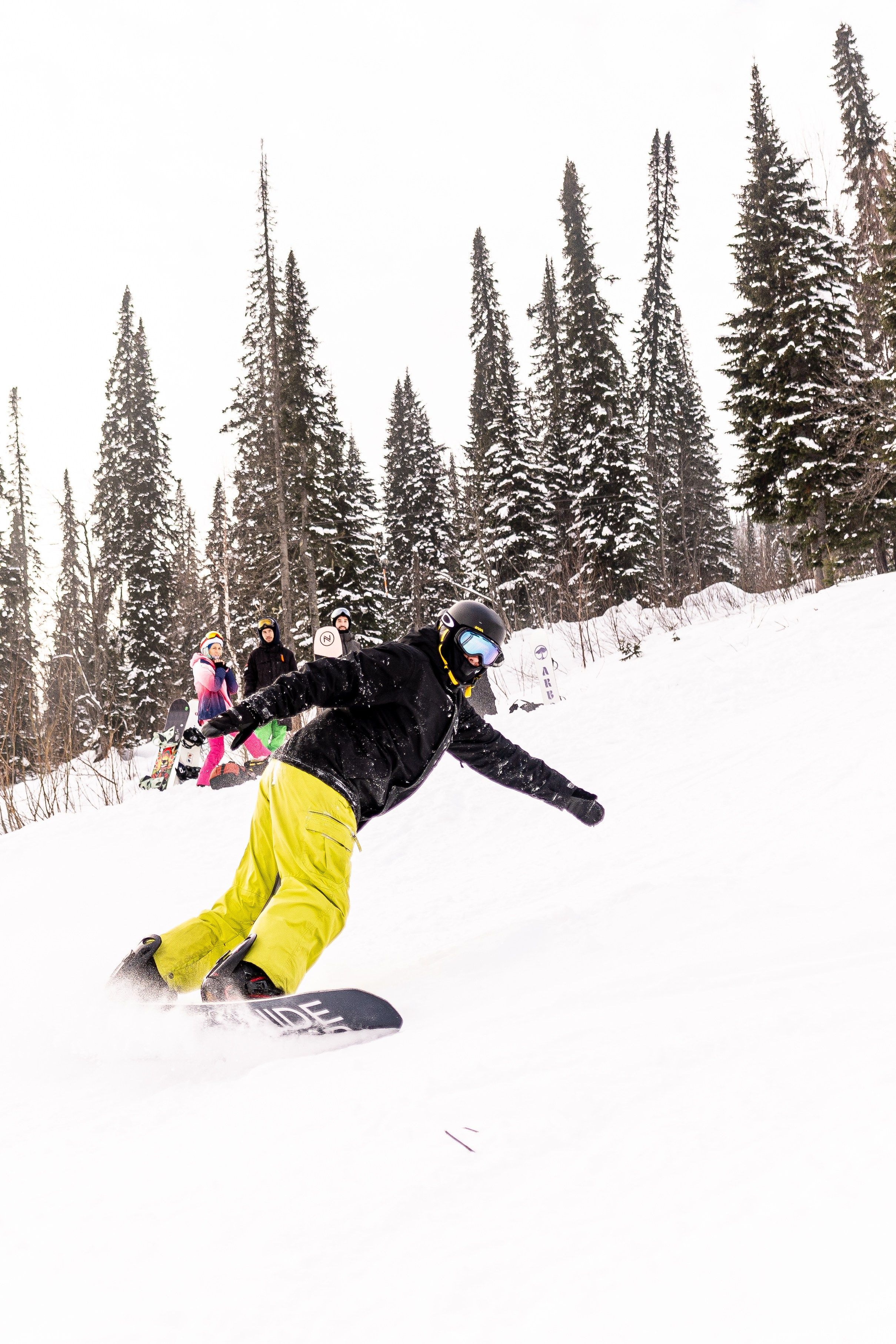 Джой 13.12. Анастасия Паршукова — фотограф Шерегеш Новосибирск