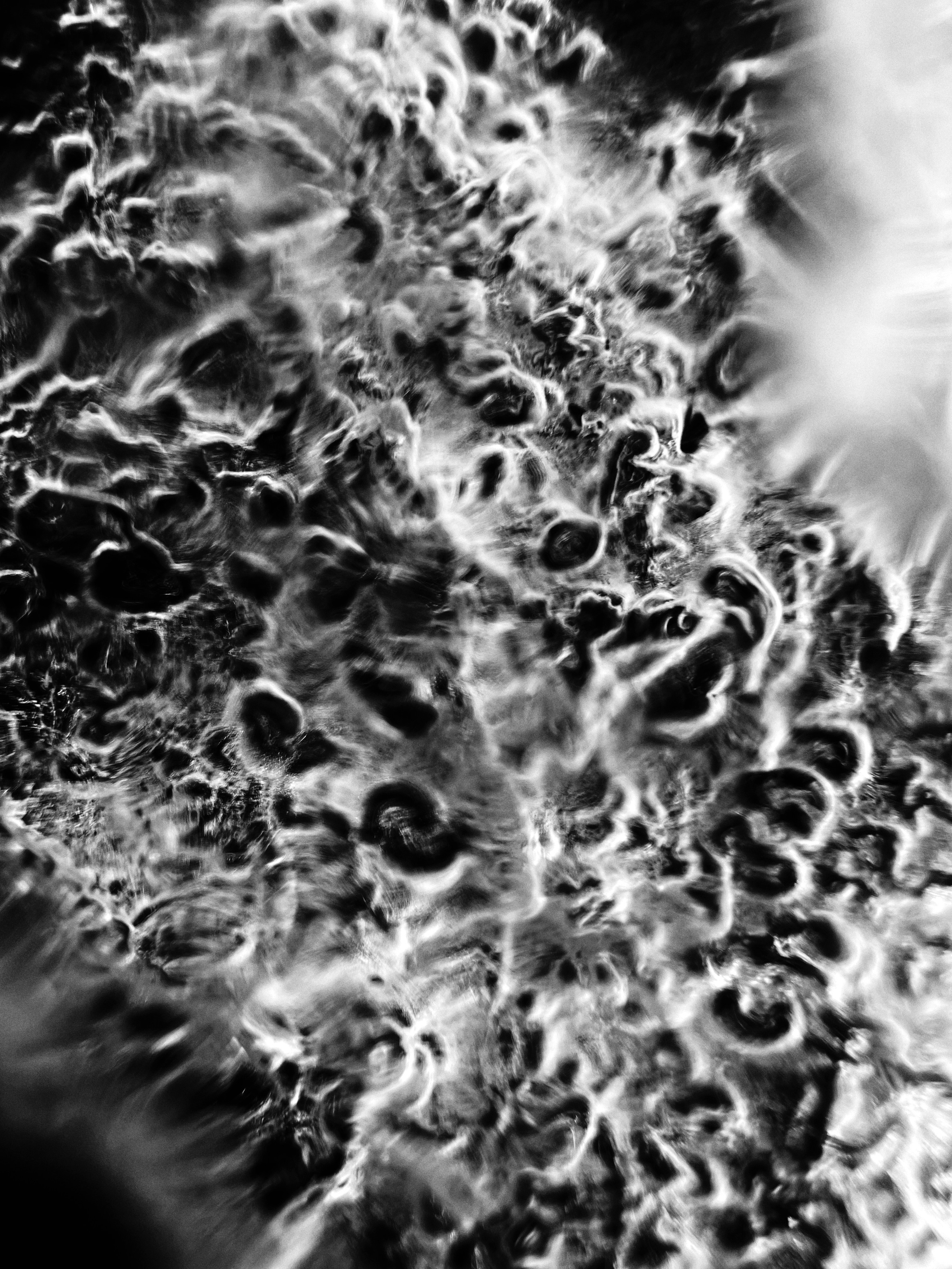 Репортажный, портретный фотограф, фотохудожник Катя Санникова