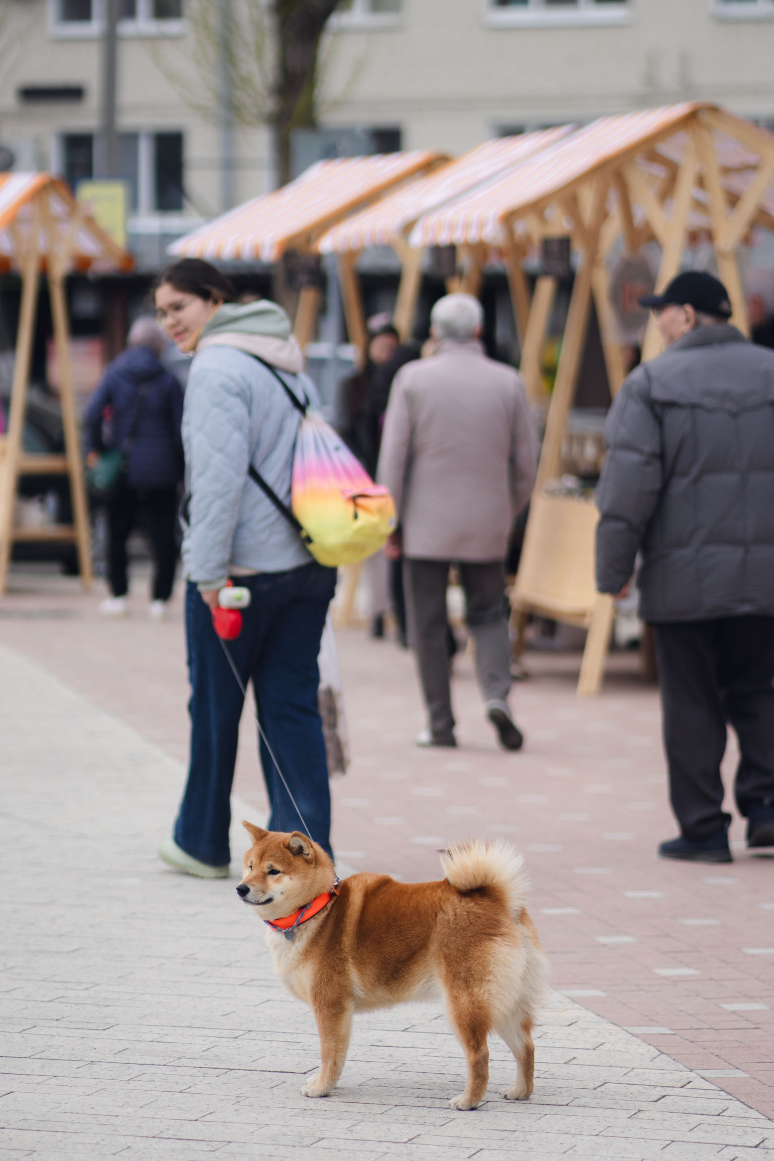 Дача в городе // Московский рынок. Репортажный фотограф в Казани Виктория Трунова