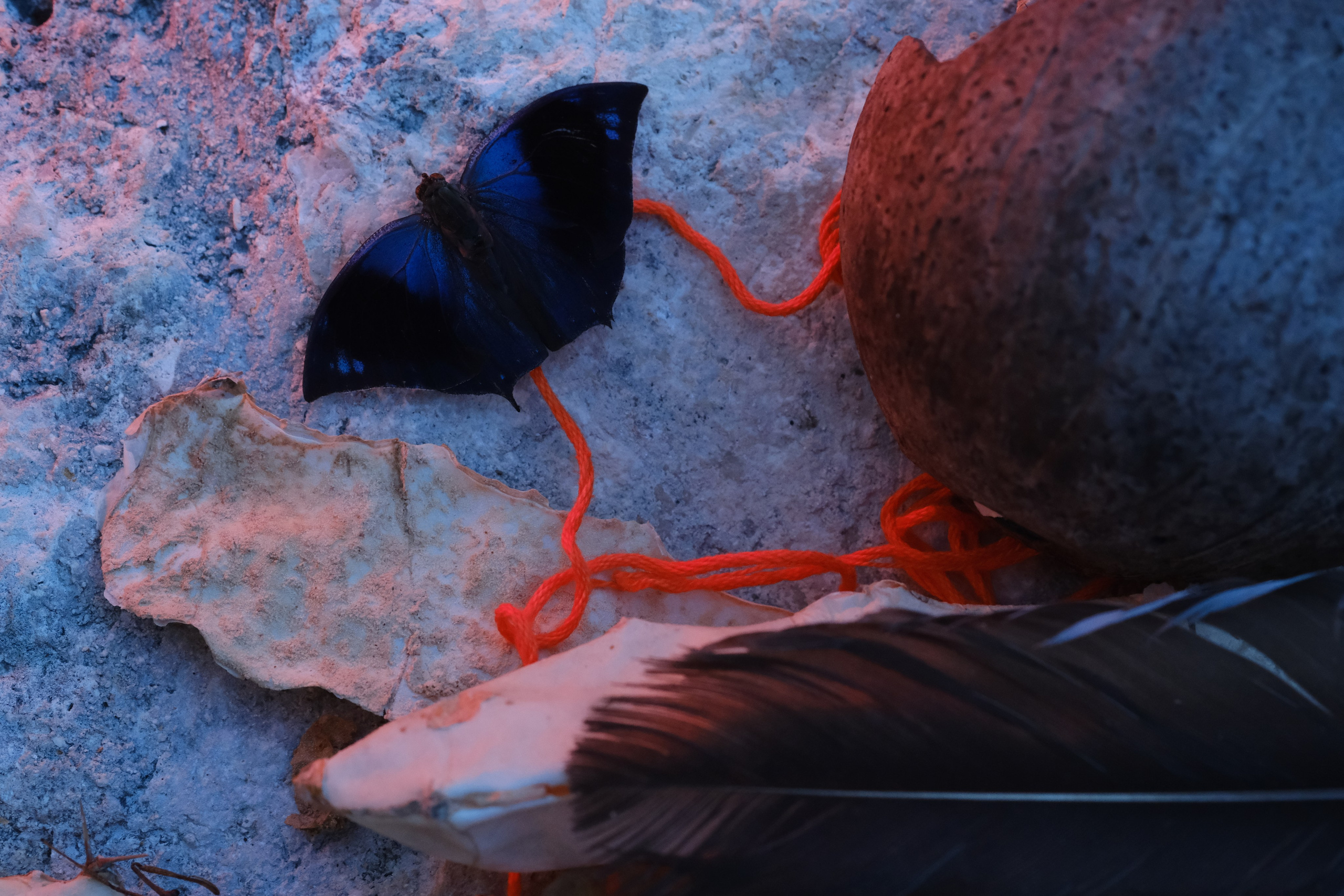 Margarita Rodionova — a contemporary lens-based artist currently working in Cancun, Mexico