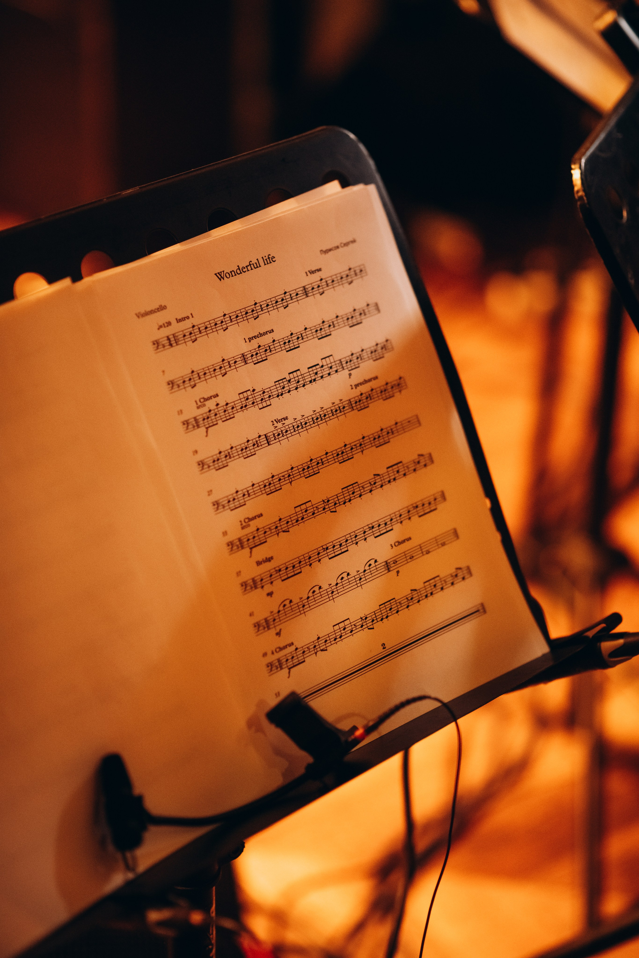 Фестиваль музыки Signon Open Air Fest