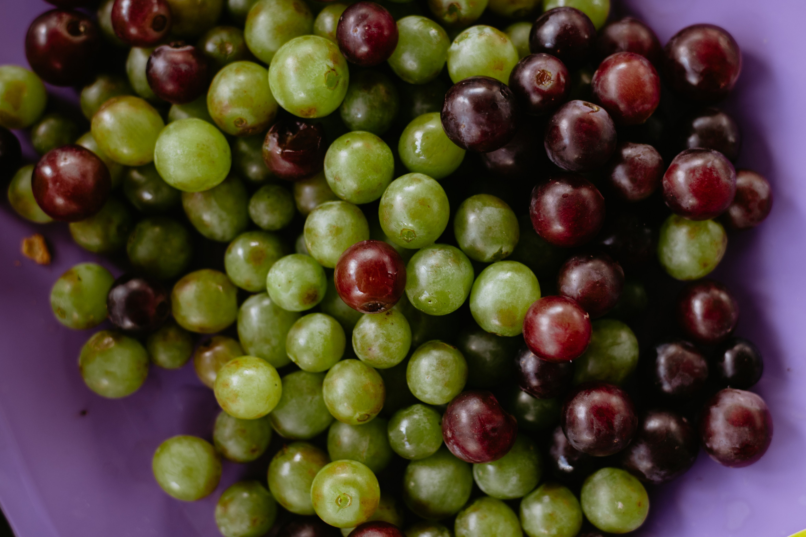 Репортаж со дня рождения на природе