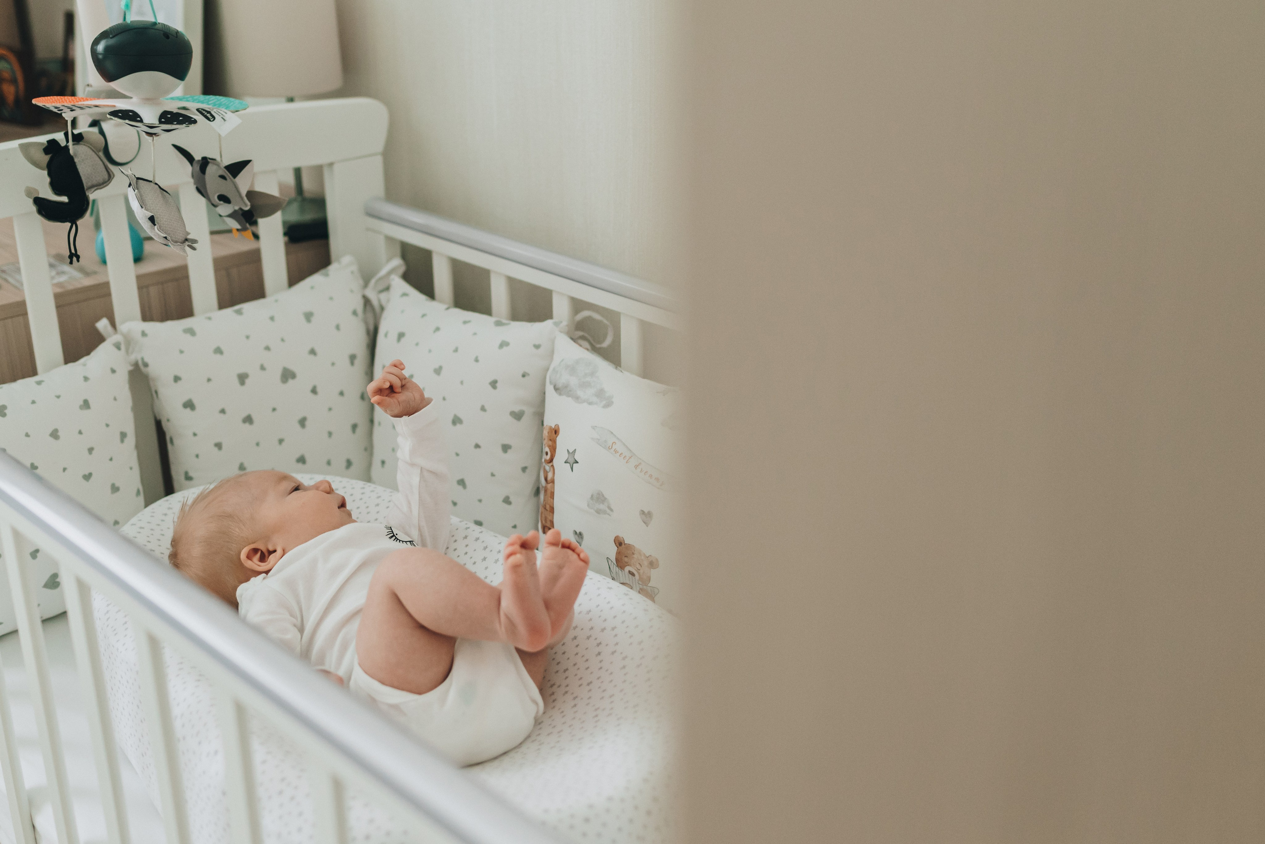 Sveta Dima Kira & Artem. Natalia Finch Photography — Family, Kids & Pet Photographer in Chicago, IL