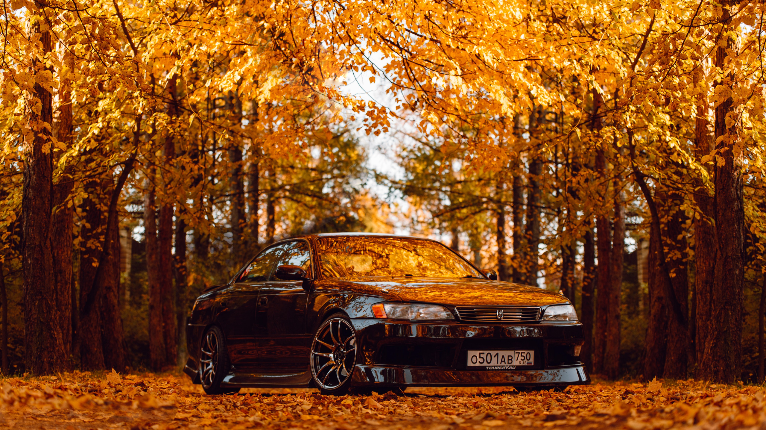 Toyota Mark ii _k_koroleva. DeLorein