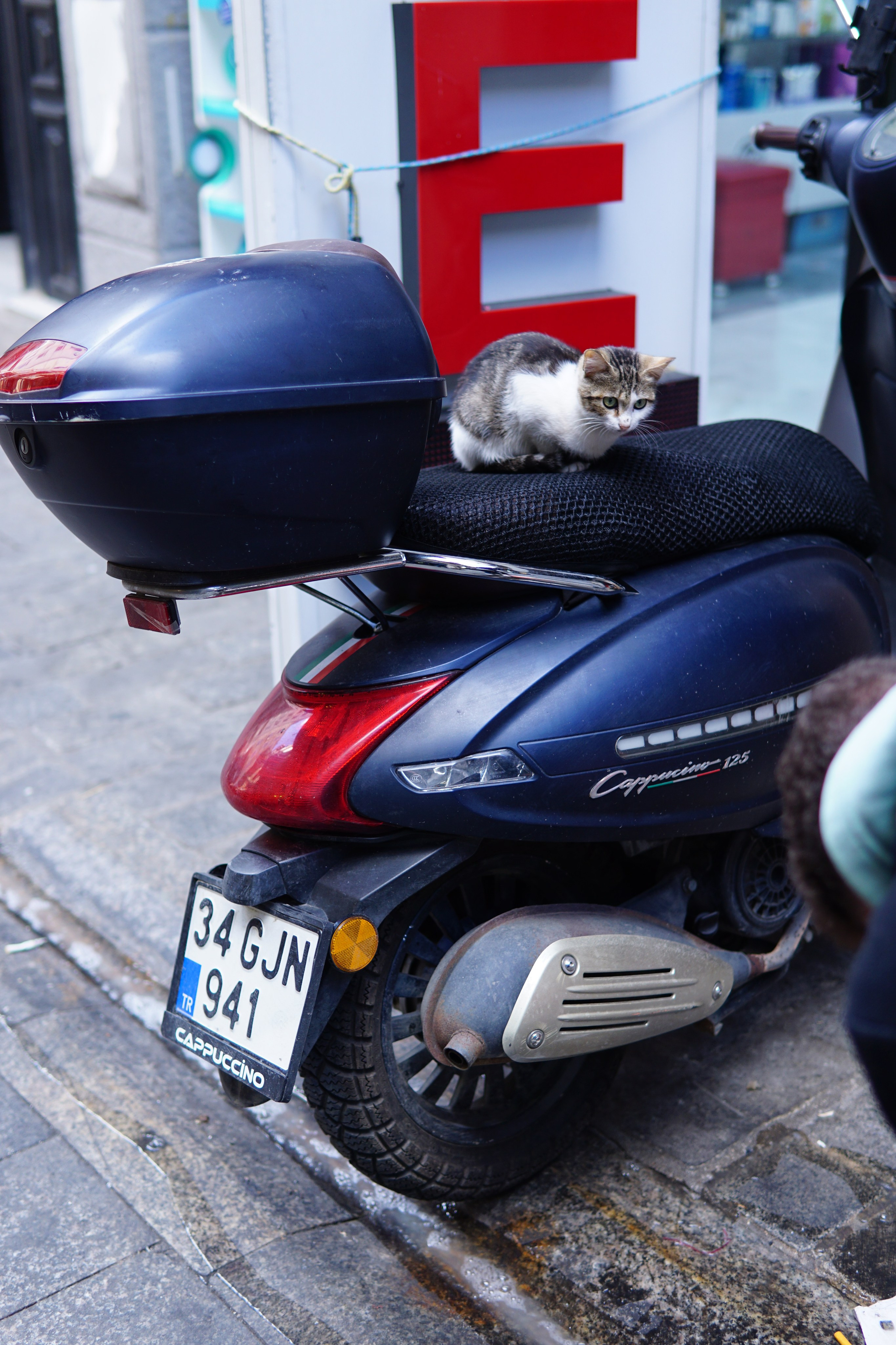 Стамбул. Фотограф в Москве Юлия Першина