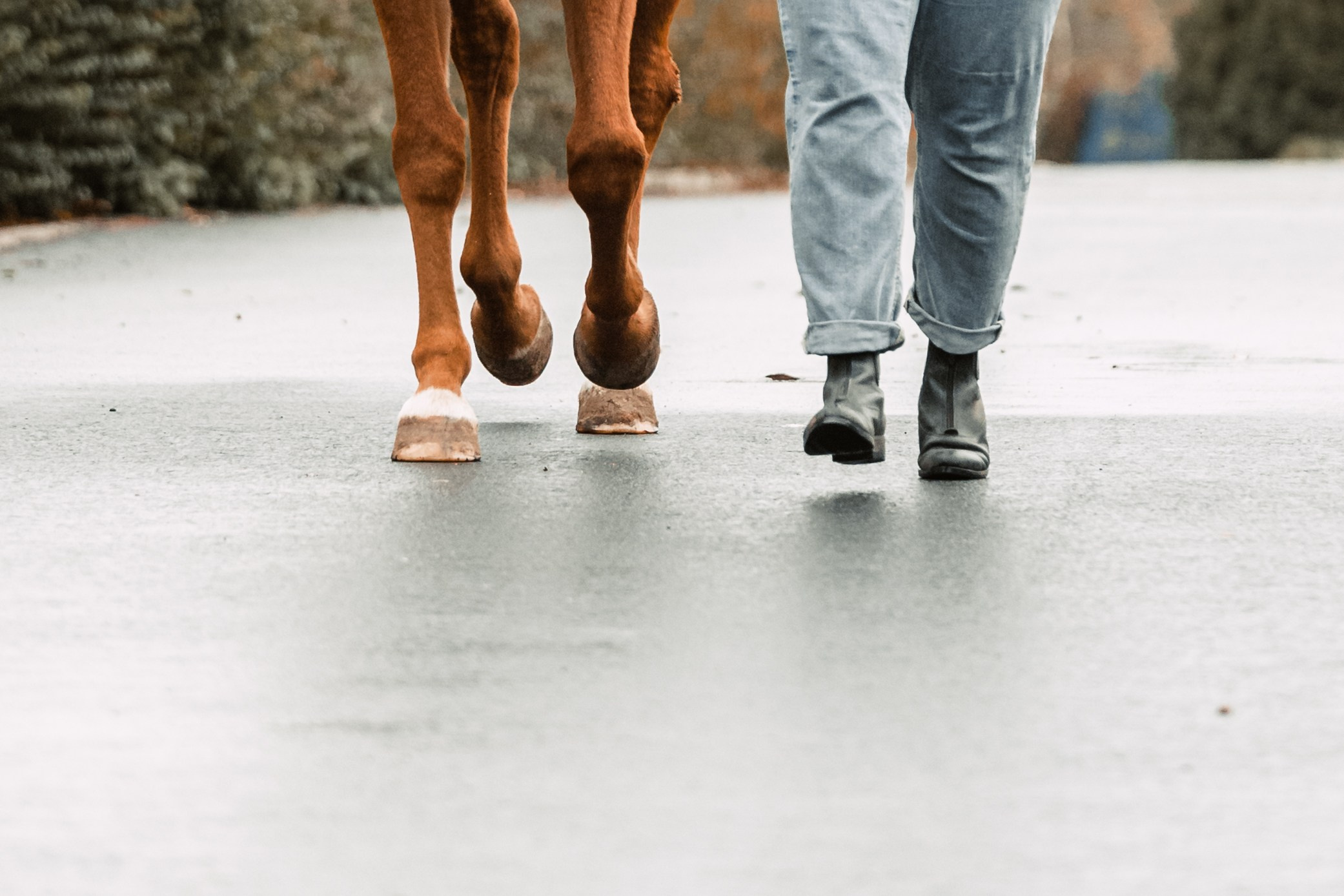 Лена и Рэджи. Фотограф-анималист Татьяна Степанова