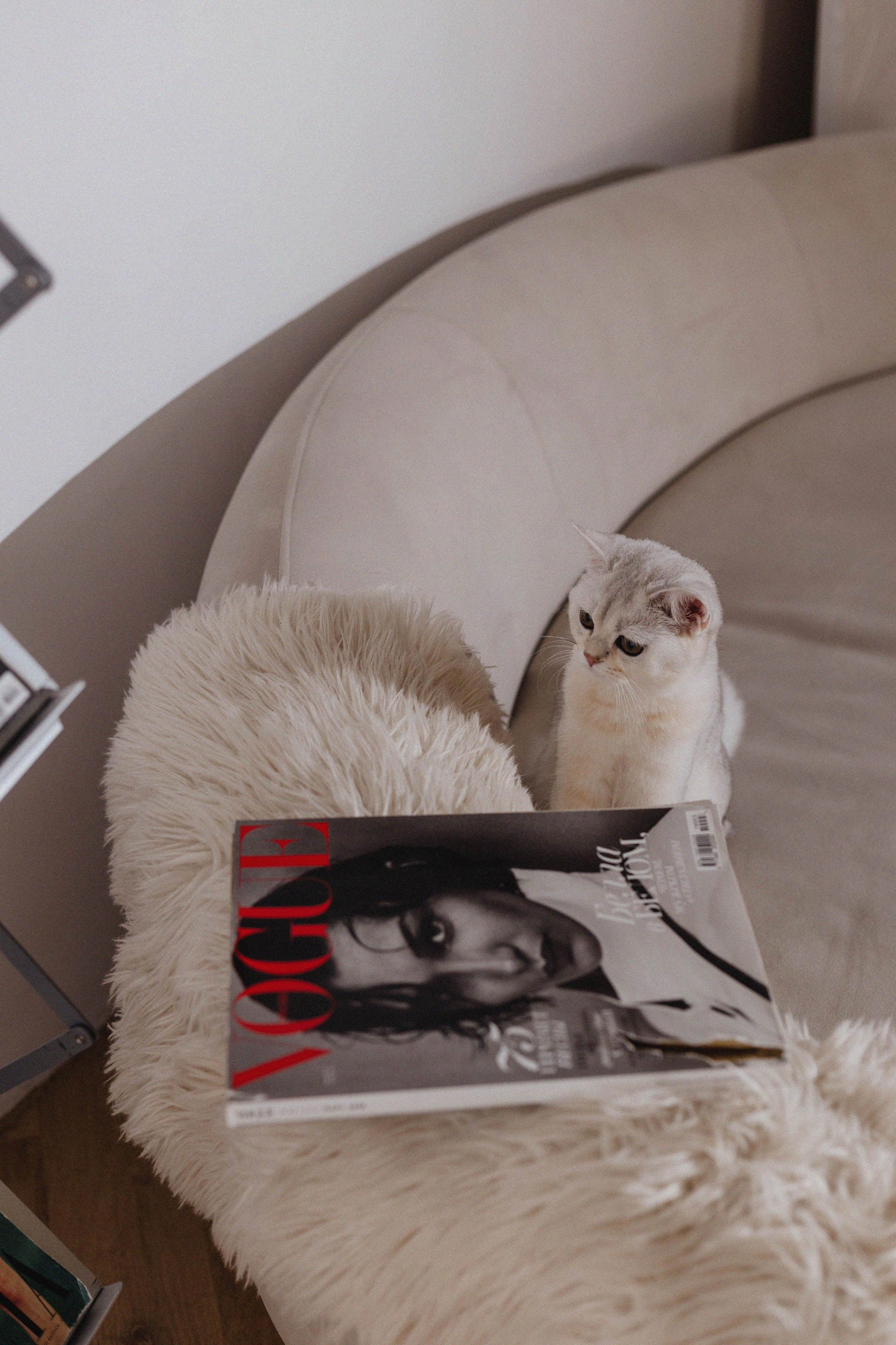 Голливудские дивы. Юлия и Кэсси. Фотограф в Ростове-на-Дону и Краснодаре Елизавета Киселёва