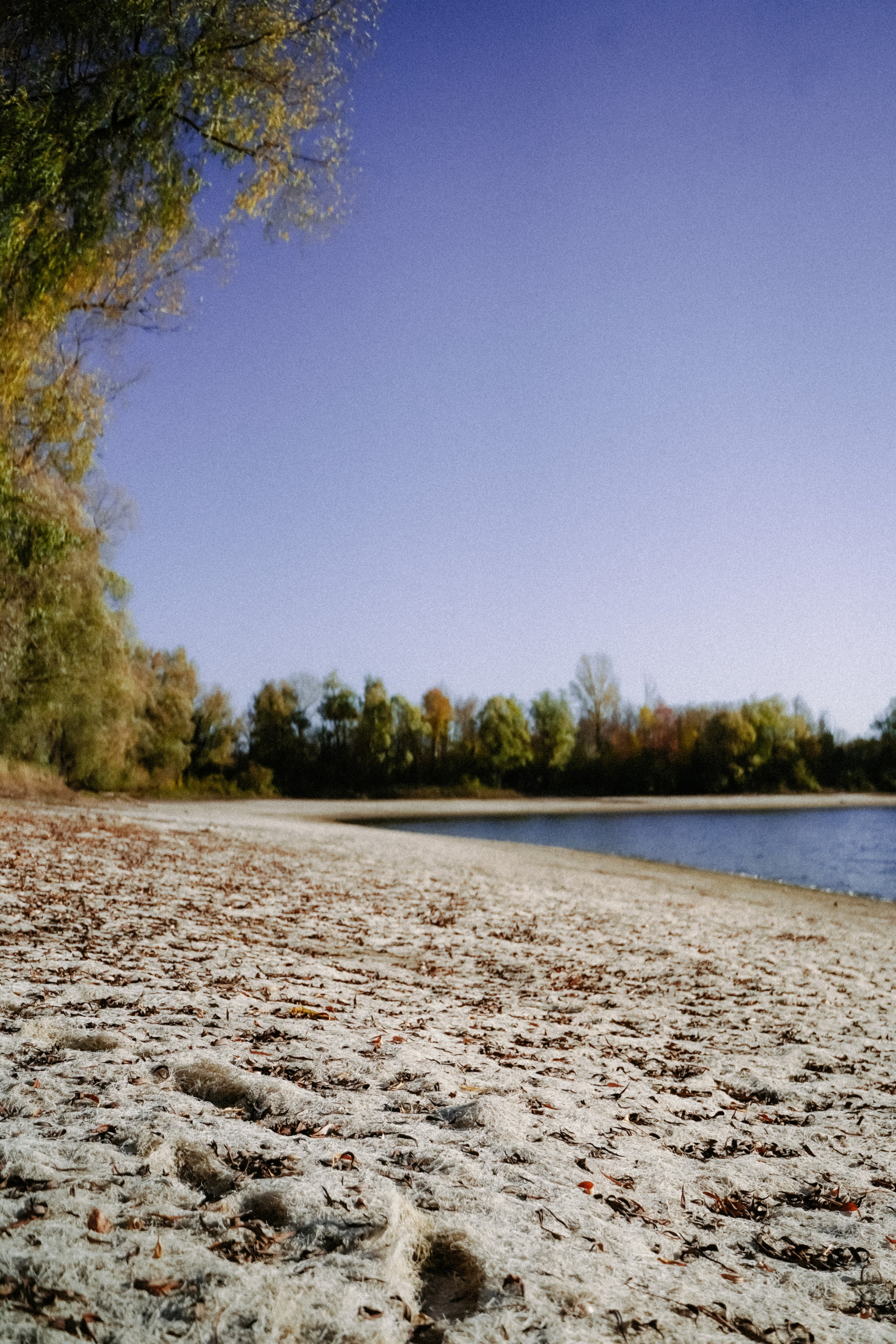 Творчество