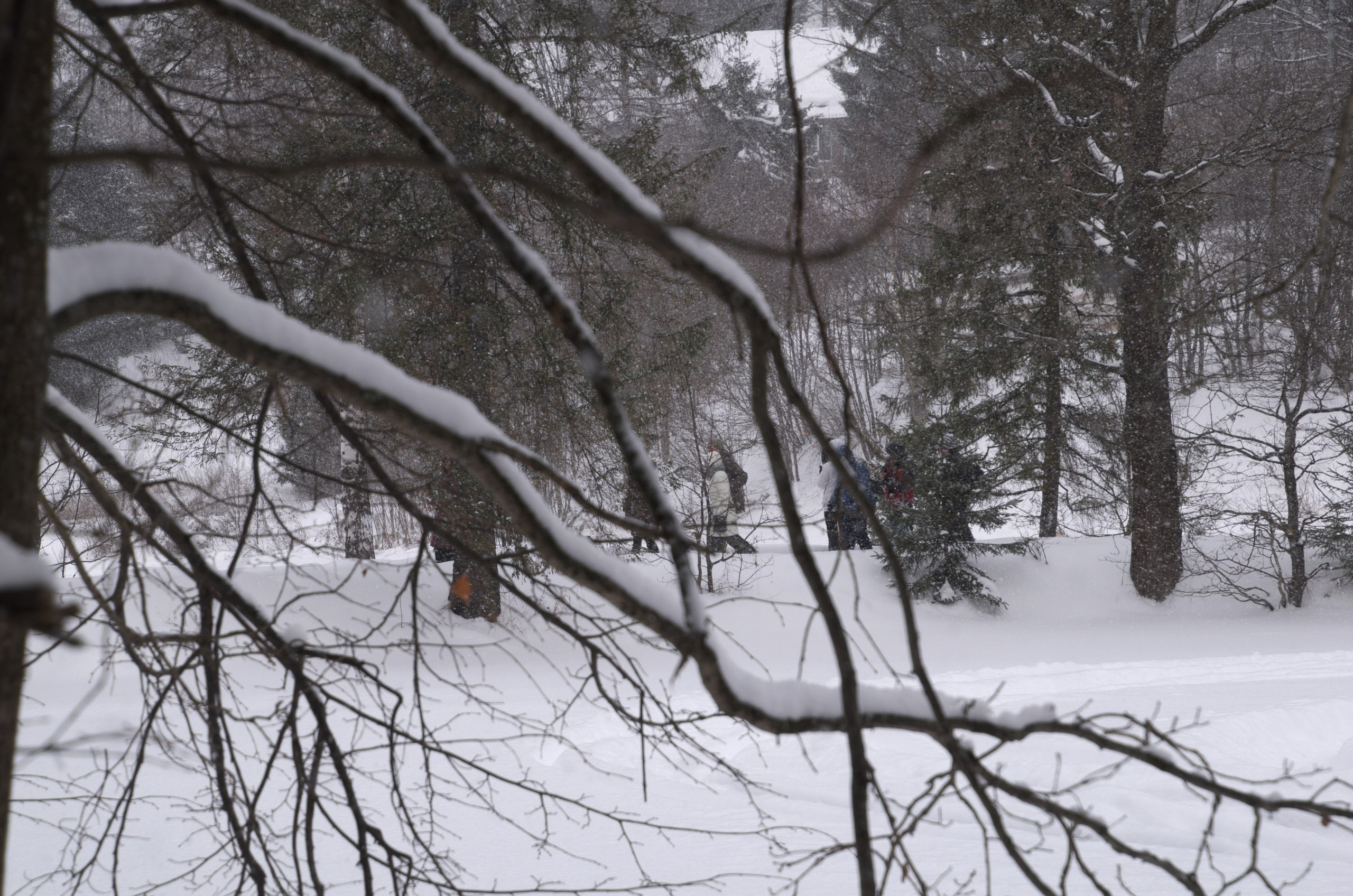 Сергиев Посад | 11.12.2016. Галерея Фантим