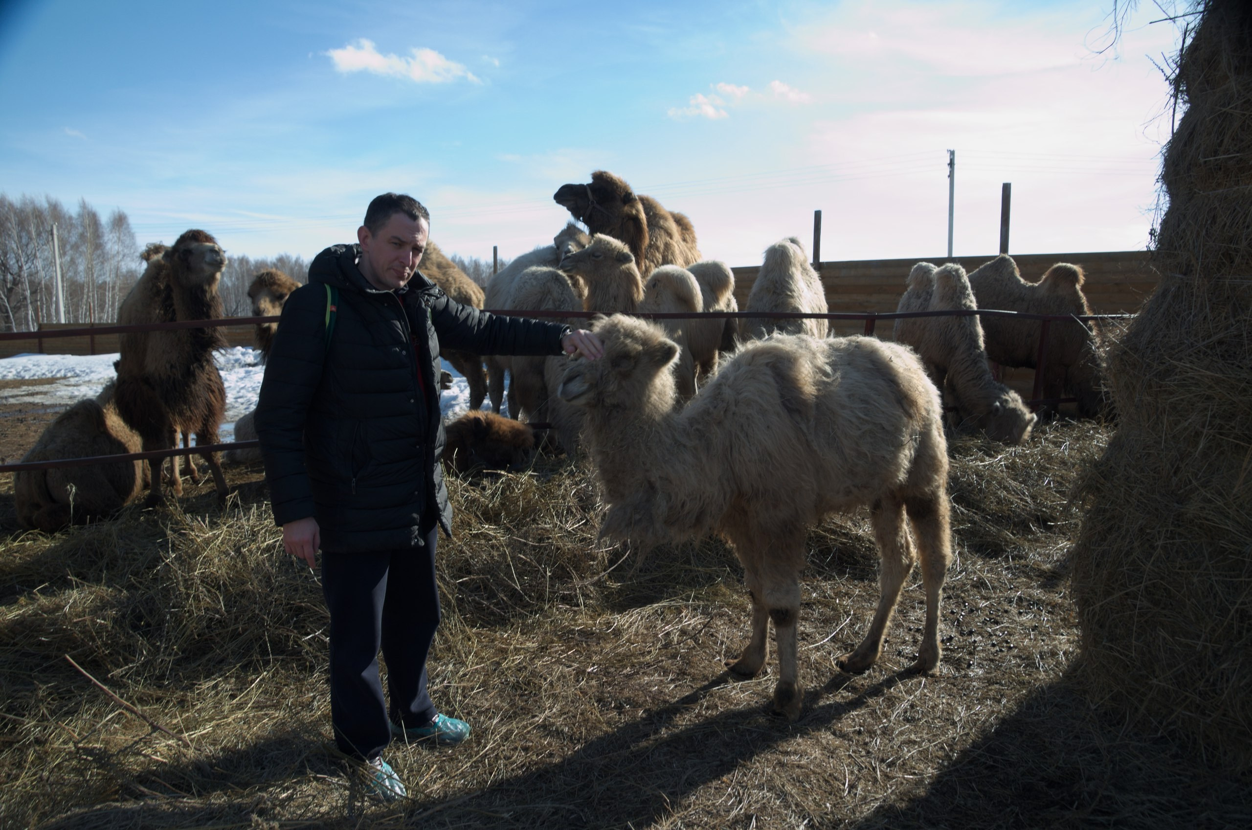 Казань | 24-26.03.2017. Галерея Фантим