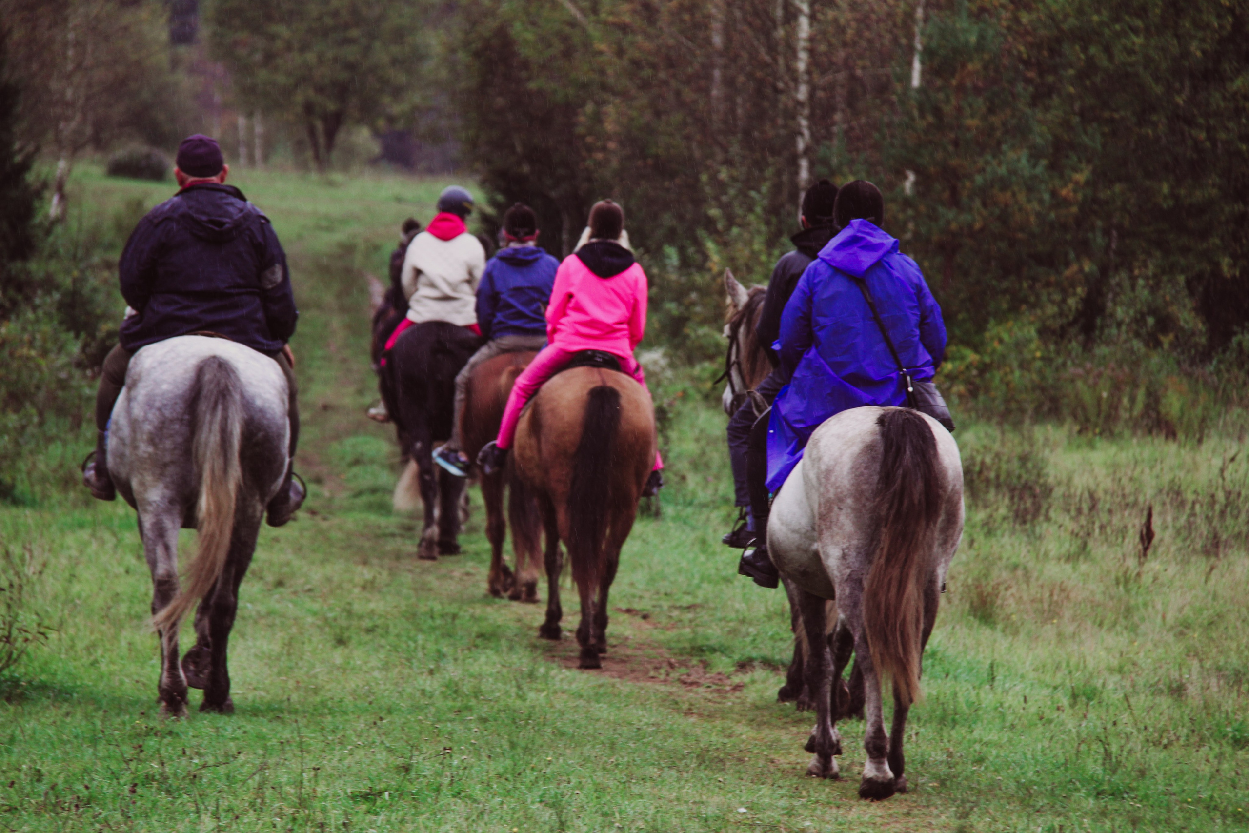 Лошадинг | 27.09.2025. Галерея Фантим