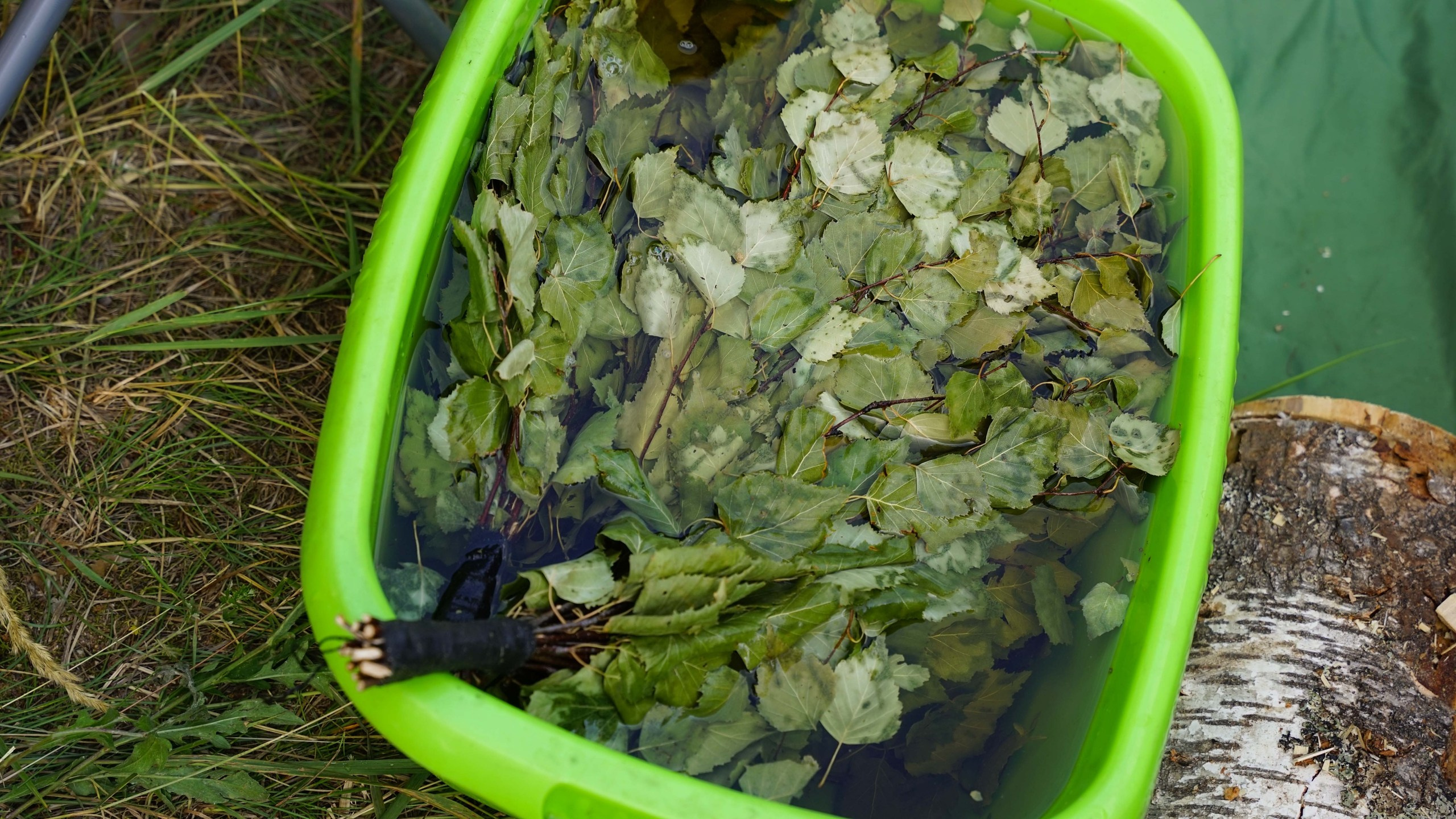 Походная романтика 44. Колумбийская сага | 28-30.06.2024. Галерея Фантим