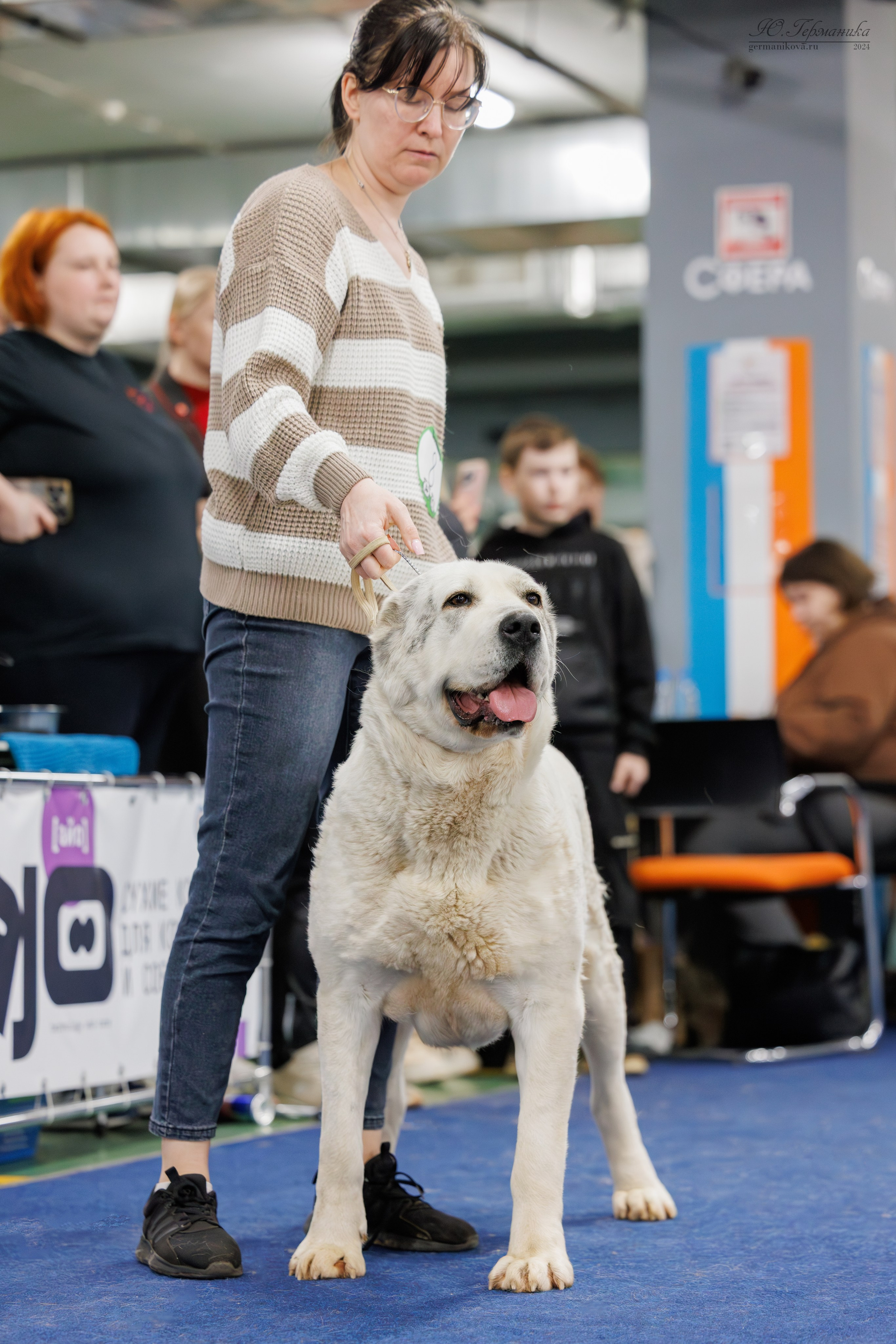 Сфера и Крокус 8,9,16 и 30.03.2025. Фотограф-анималист Юлия Германика