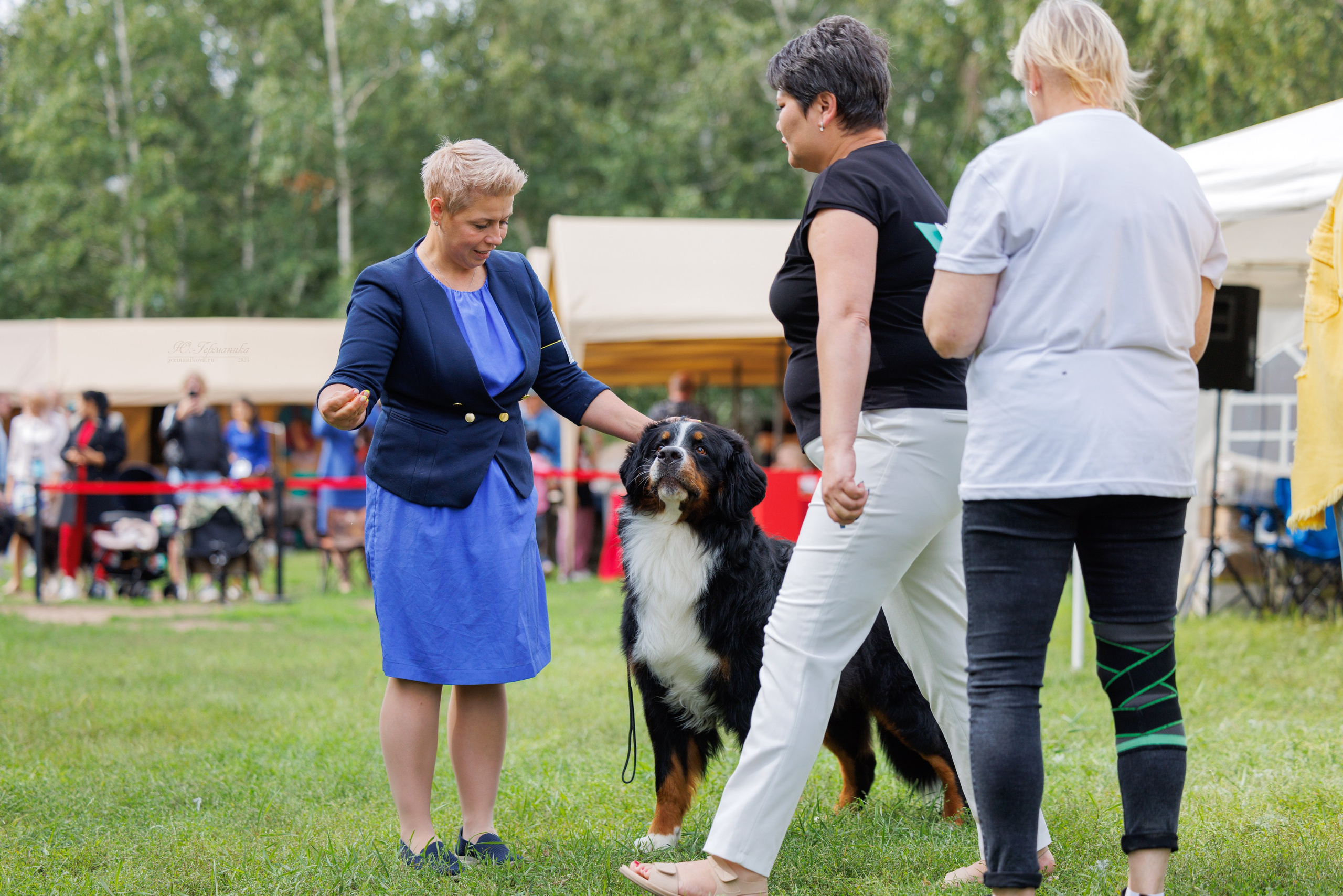 Астана 2хCACIB 17-18.08.2024. Фотограф-анималист Юлия Германика