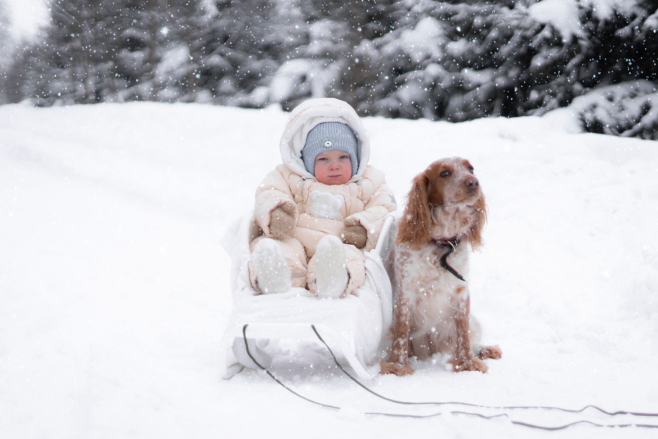На природе. Семейный и детский фотограф в Москве Евгения Миронова