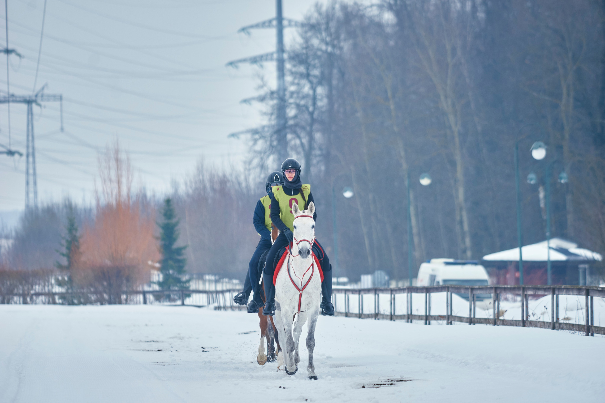 HORSE RACING. Фотограф Наталья Леонова