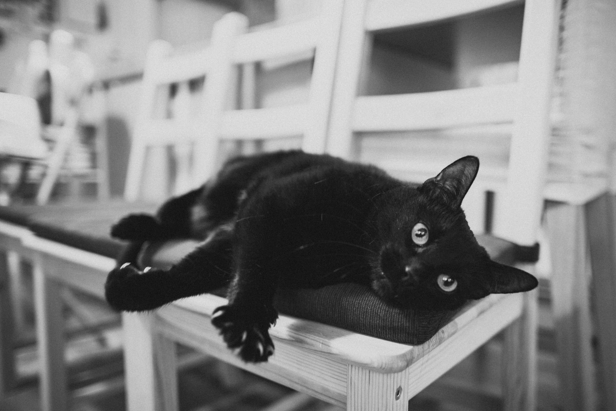 Время года зима. Свадебные и семейные фотографы в Москве Максим и Оксана Первомай