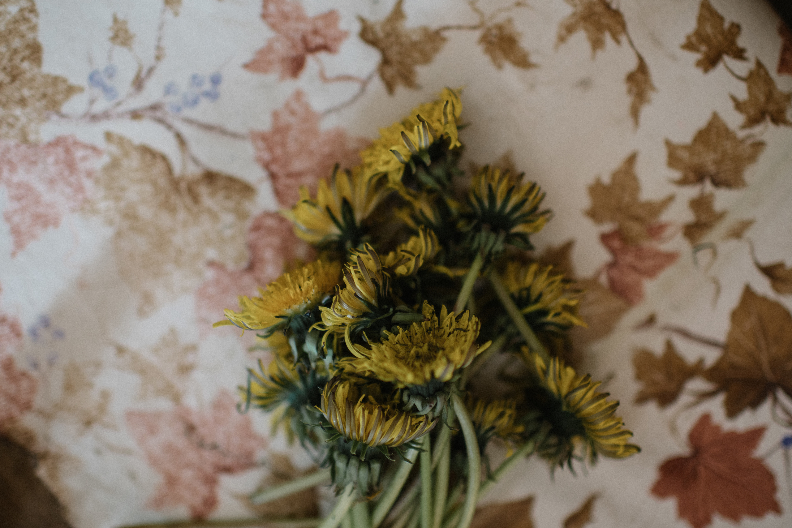 Солнечная сторона. Свадебные и семейные фотографы в Москве Максим и Оксана Первомай