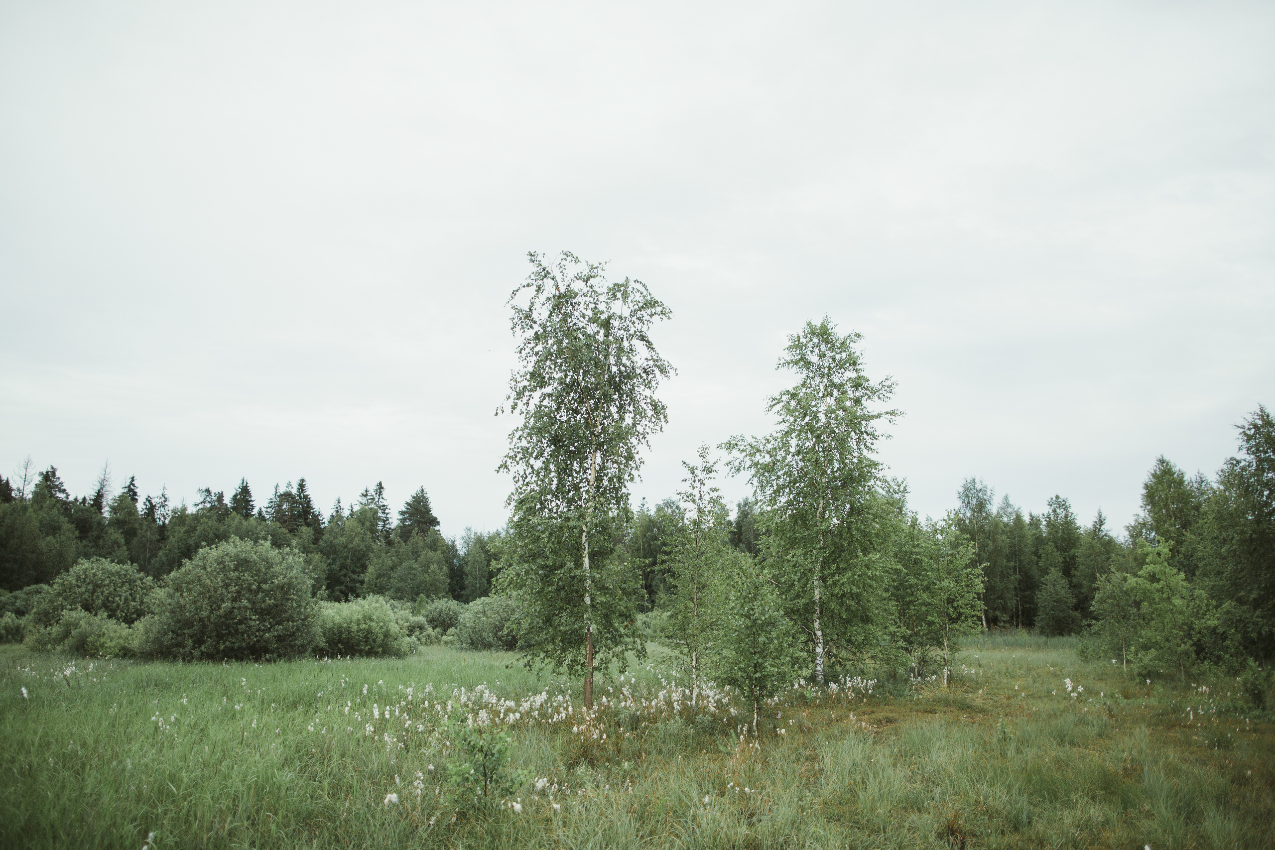 Светлый день, тёплый вечер. Свадебные и семейные фотографы в Москве Максим и Оксана Первомай