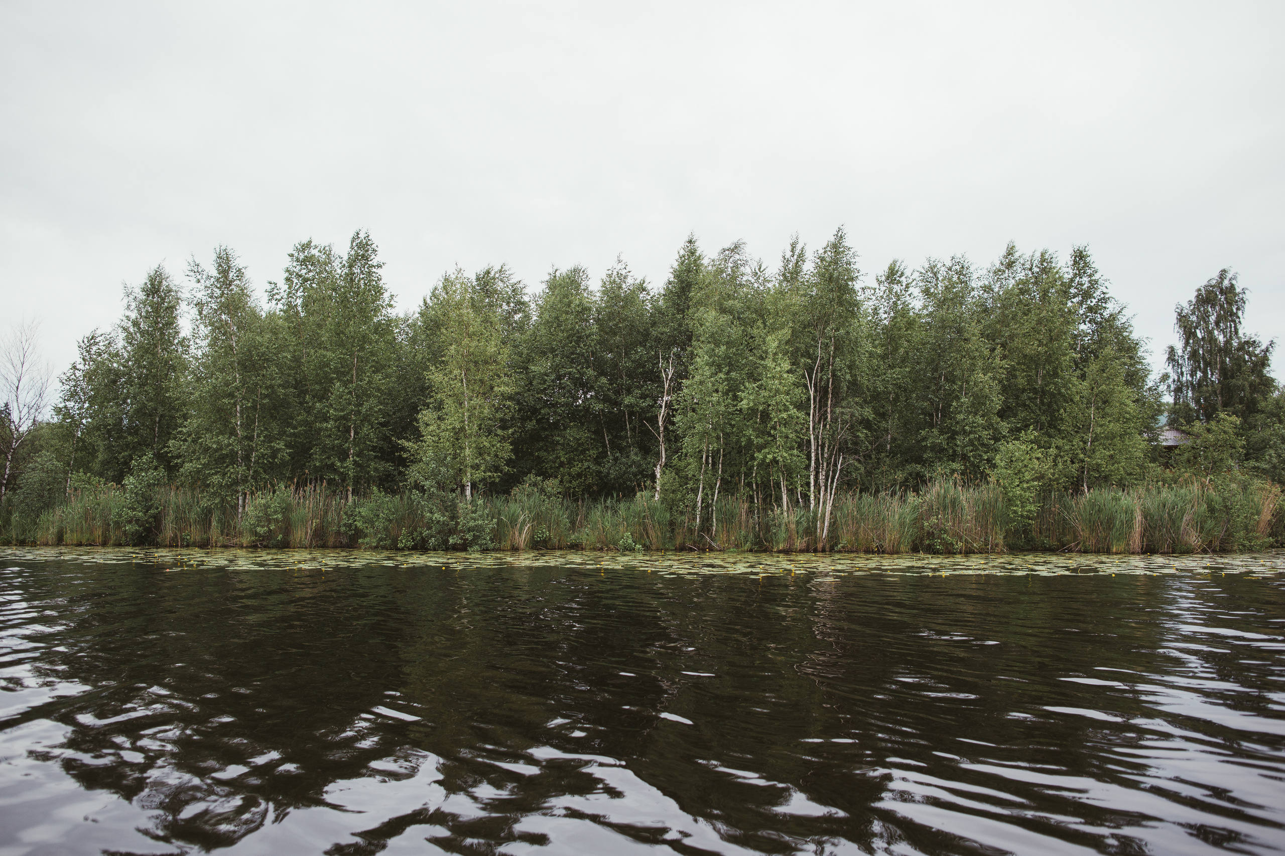 Светлый день, тёплый вечер. Свадебные и семейные фотографы в Москве Максим и Оксана Первомай