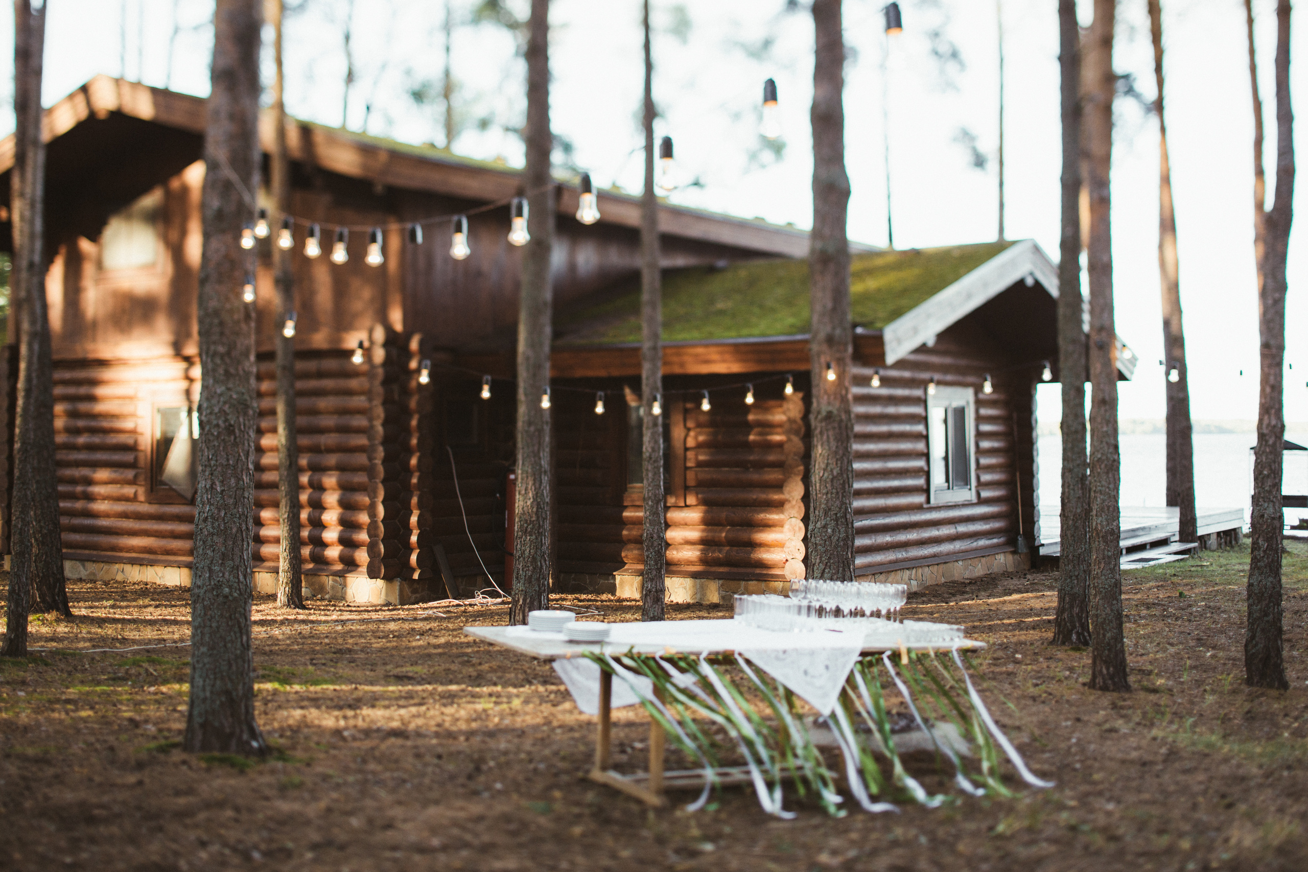 Wedstock. Свадебные и семейные фотографы в Москве Максим и Оксана Первомай