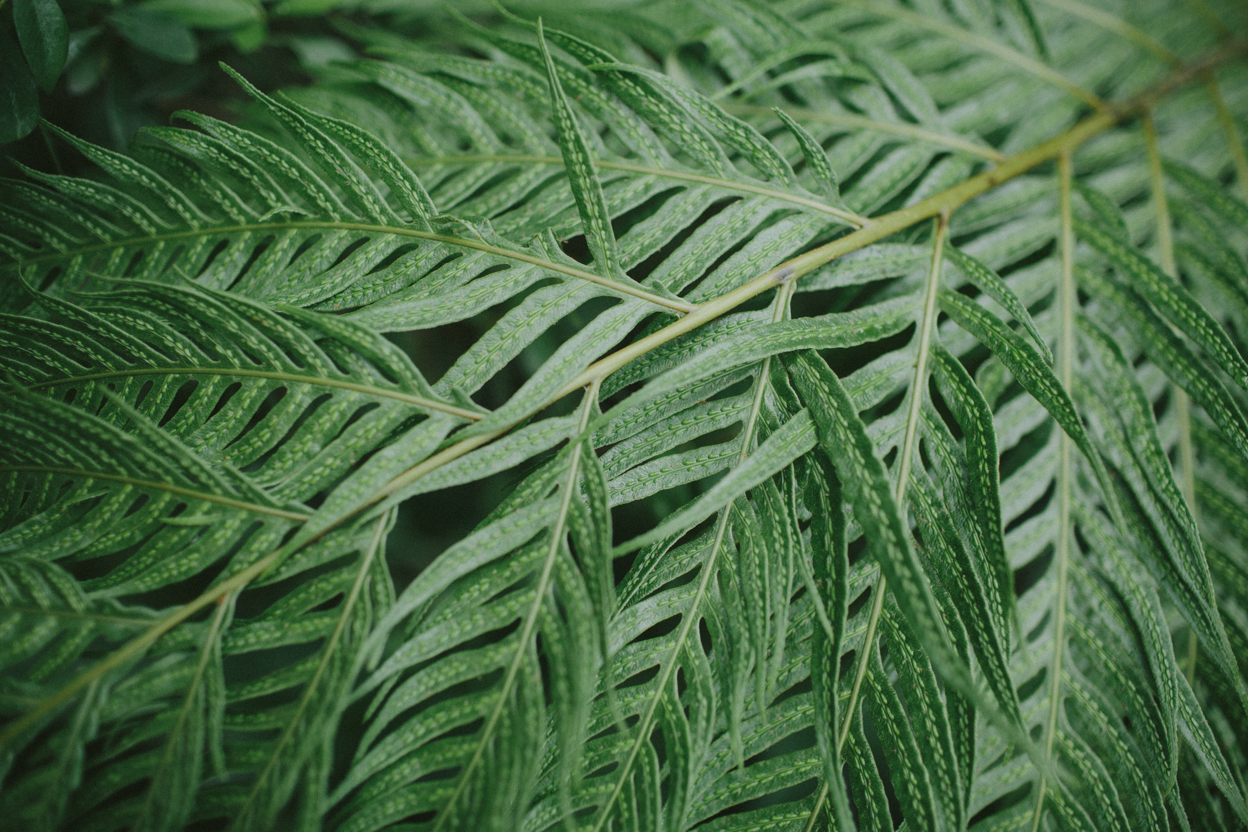 Пока за окном дождь. Свадебные и семейные фотографы в Москве Максим и Оксана Первомай