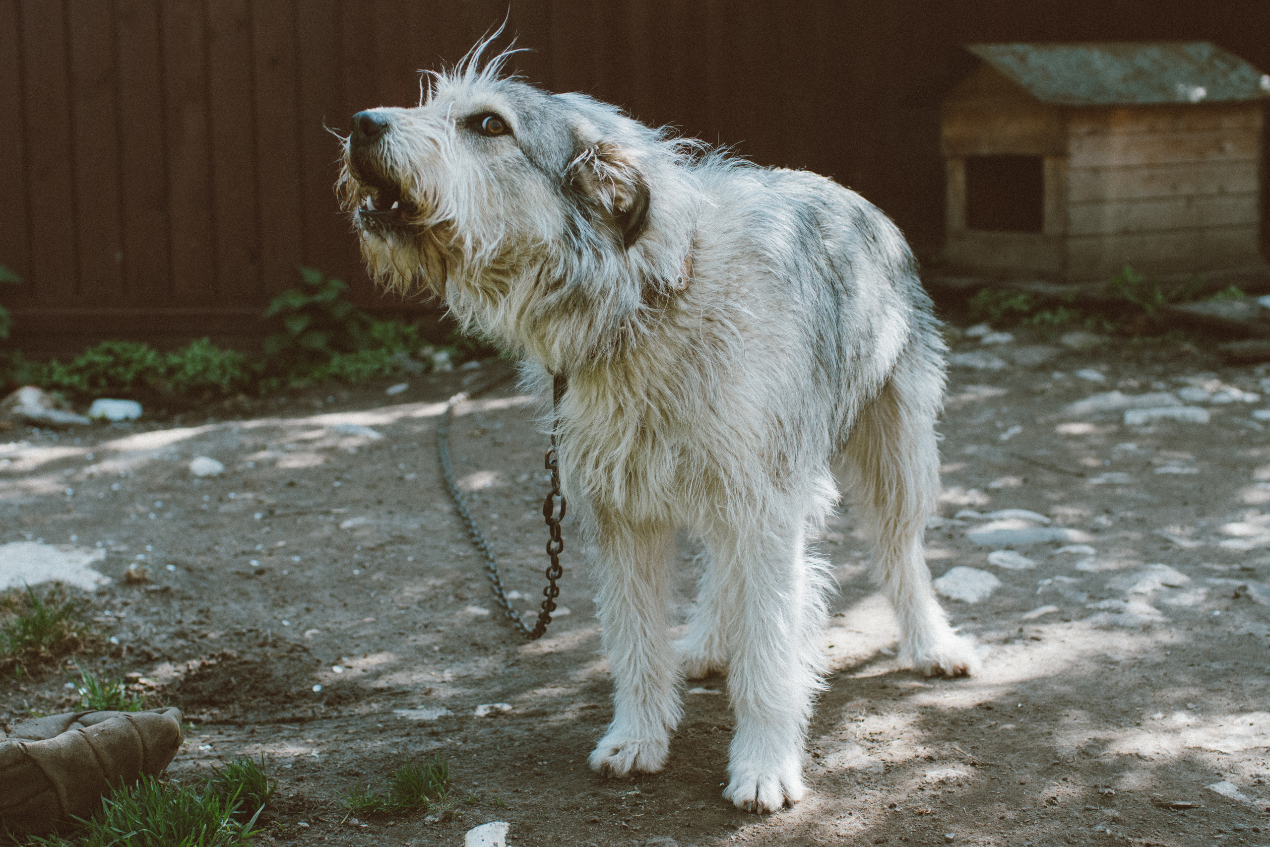 Солнечная сторона. Свадебные и семейные фотографы в Москве Максим и Оксана Первомай