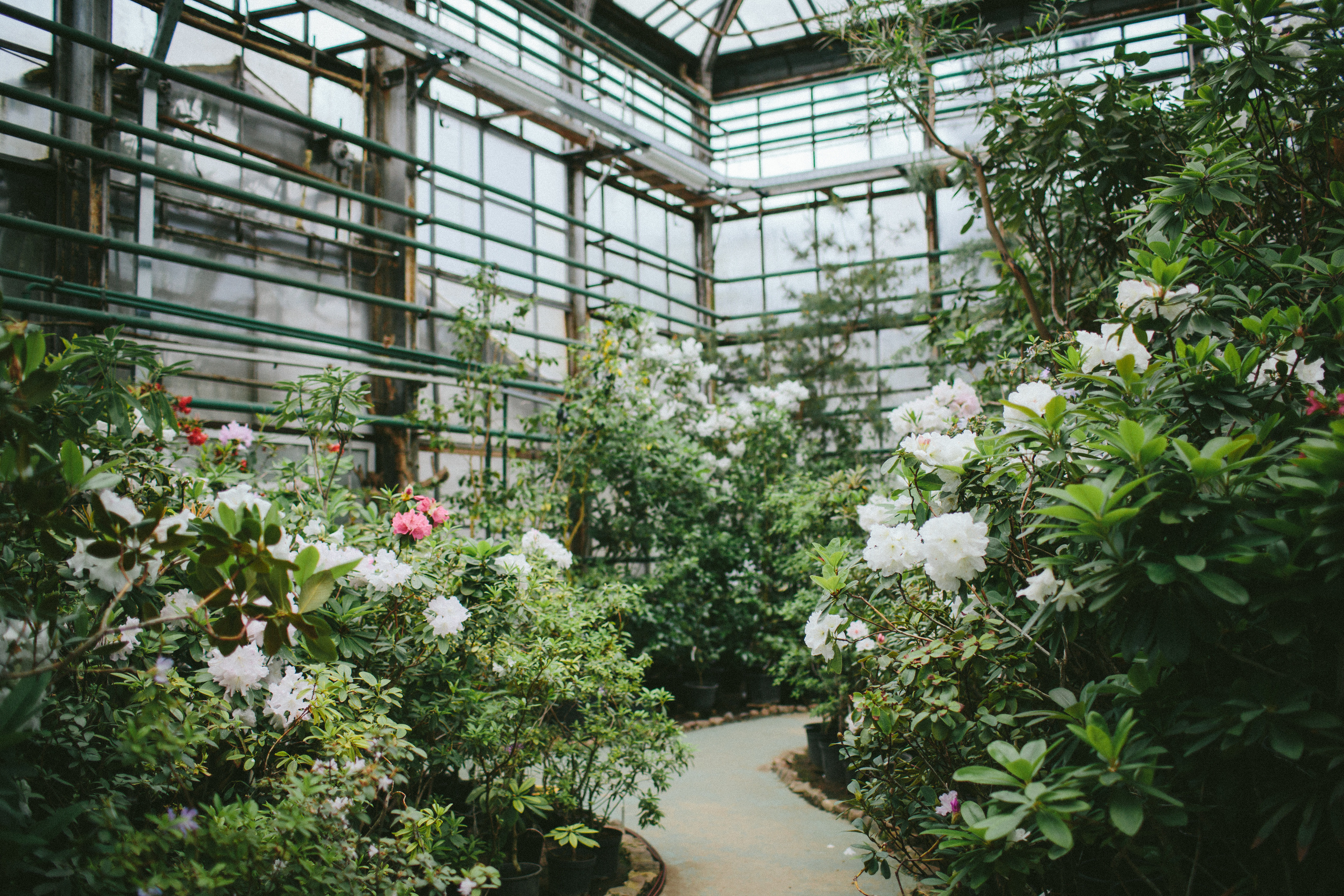 Пока за окном дождь. Свадебные и семейные фотографы в Москве Максим и Оксана Первомай
