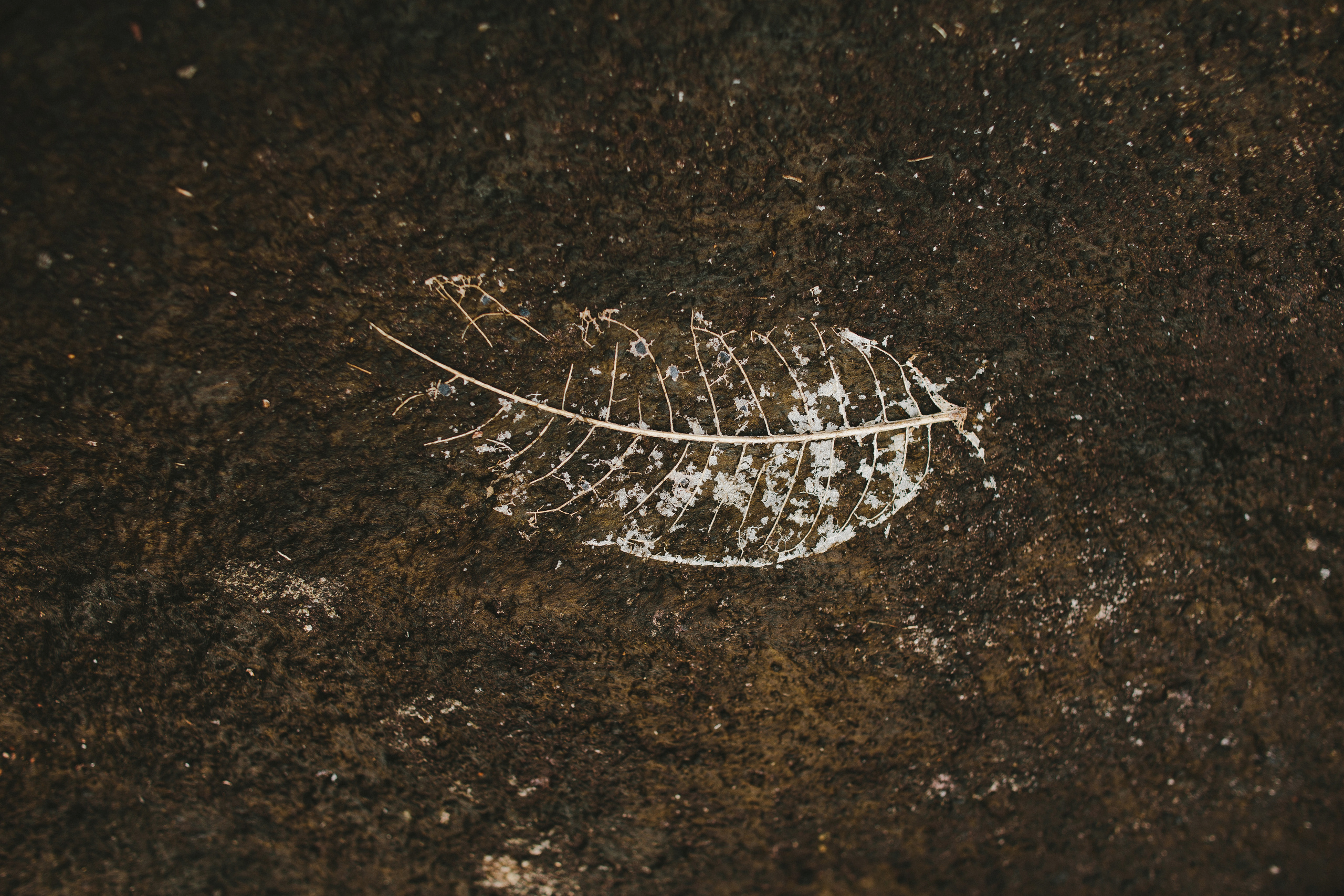 Свадебные и семейные фотографы в Москве Максим и Оксана Первомай