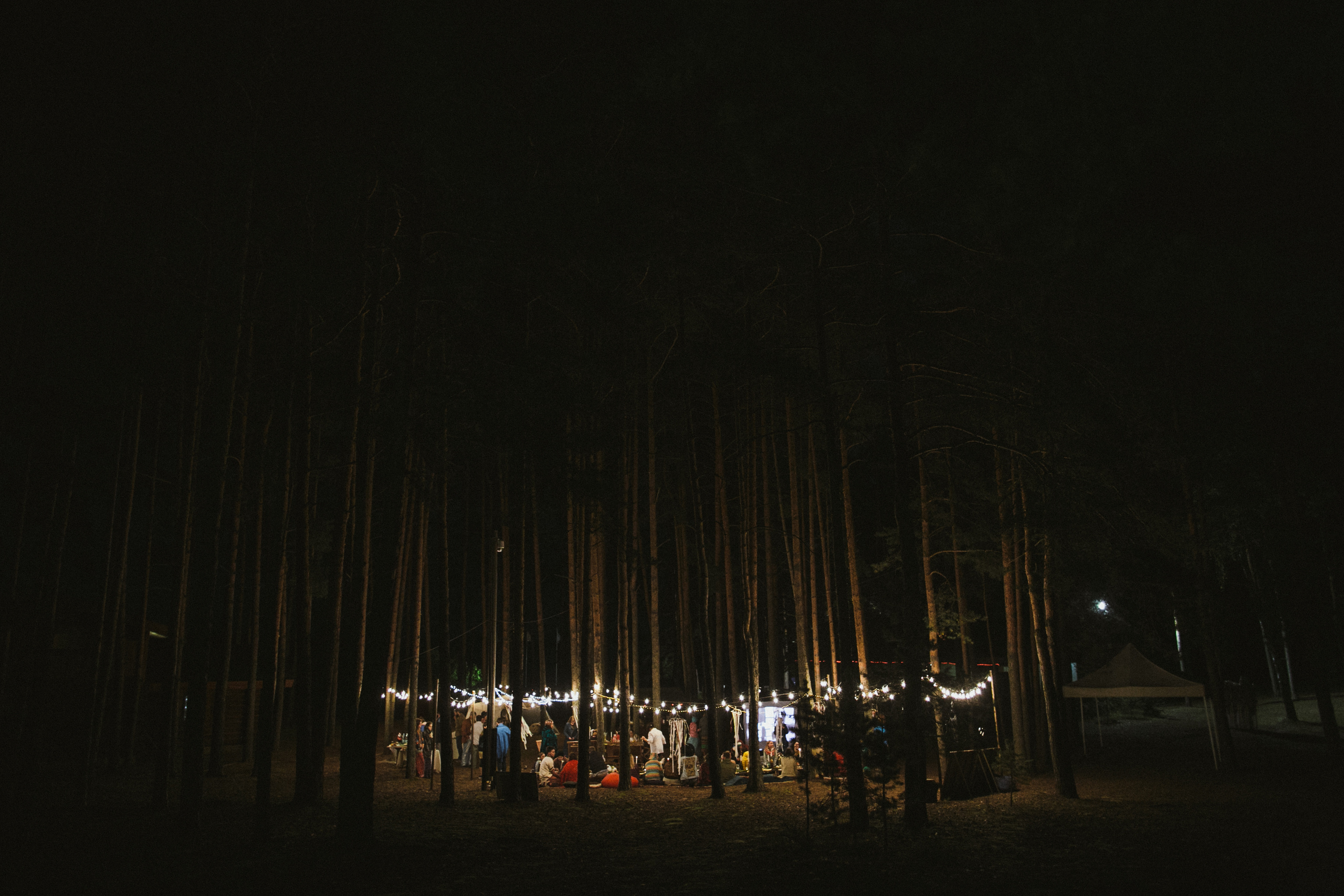 Wedstock. Свадебные и семейные фотографы в Москве Максим и Оксана Первомай