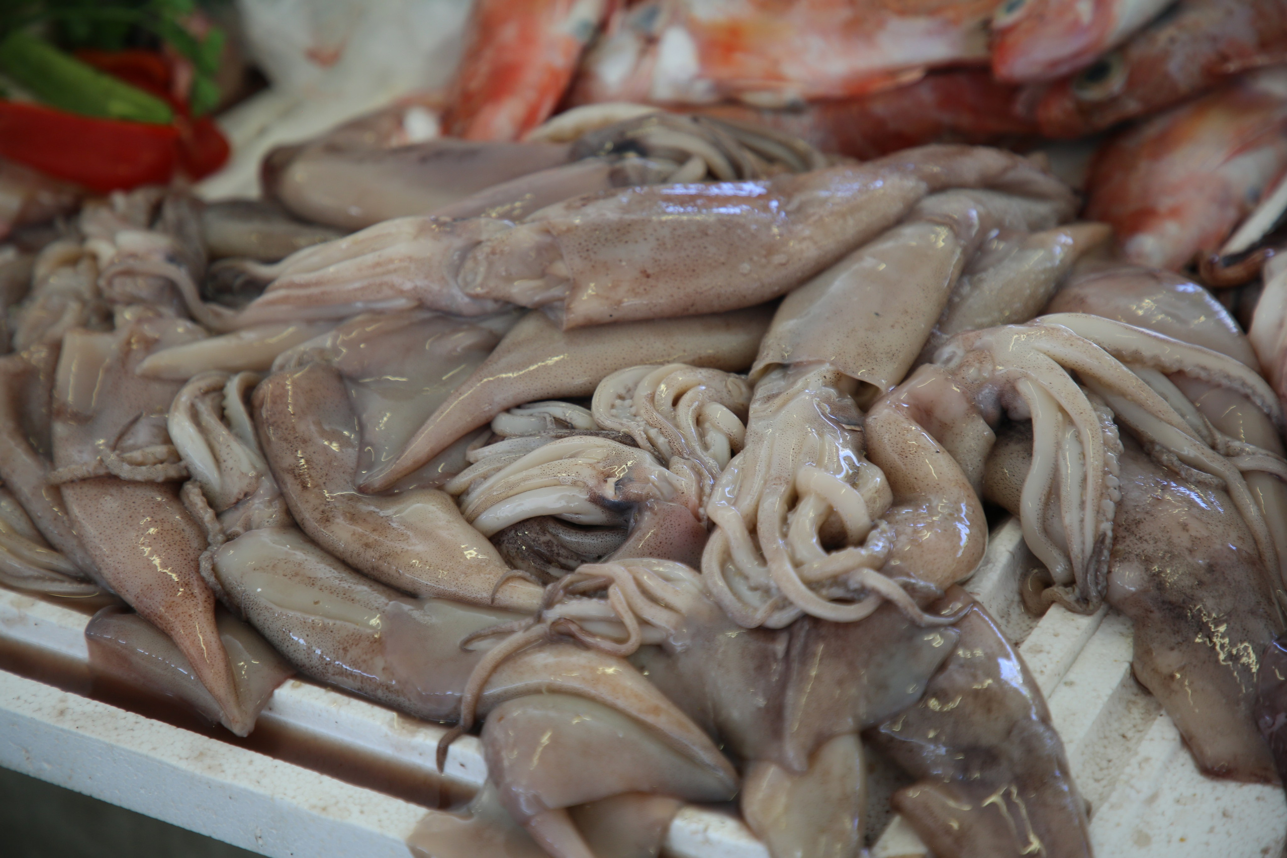 Espihnio, Portugal. Andrey Filippov Photographer