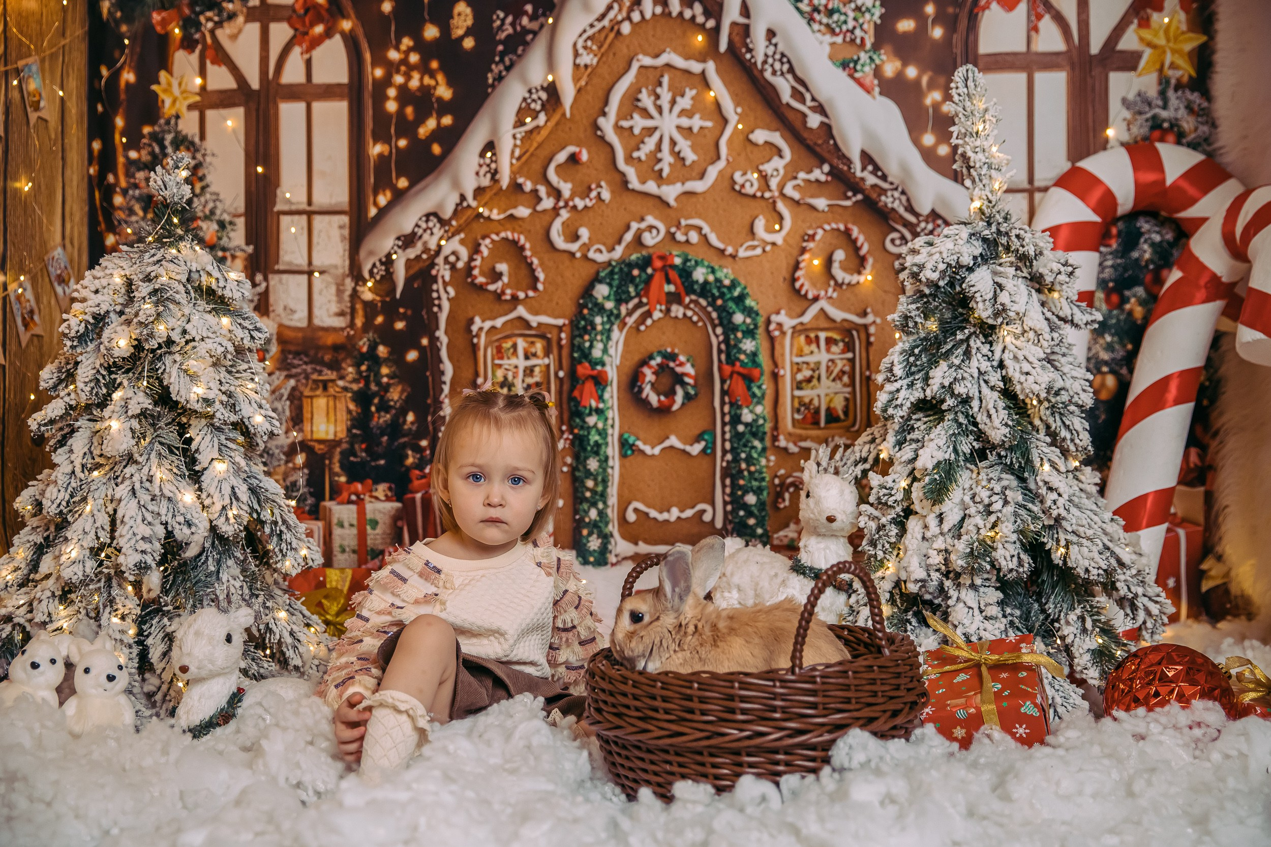 Студийная/контент. Свадебный и Семейный фотограф во Владимире