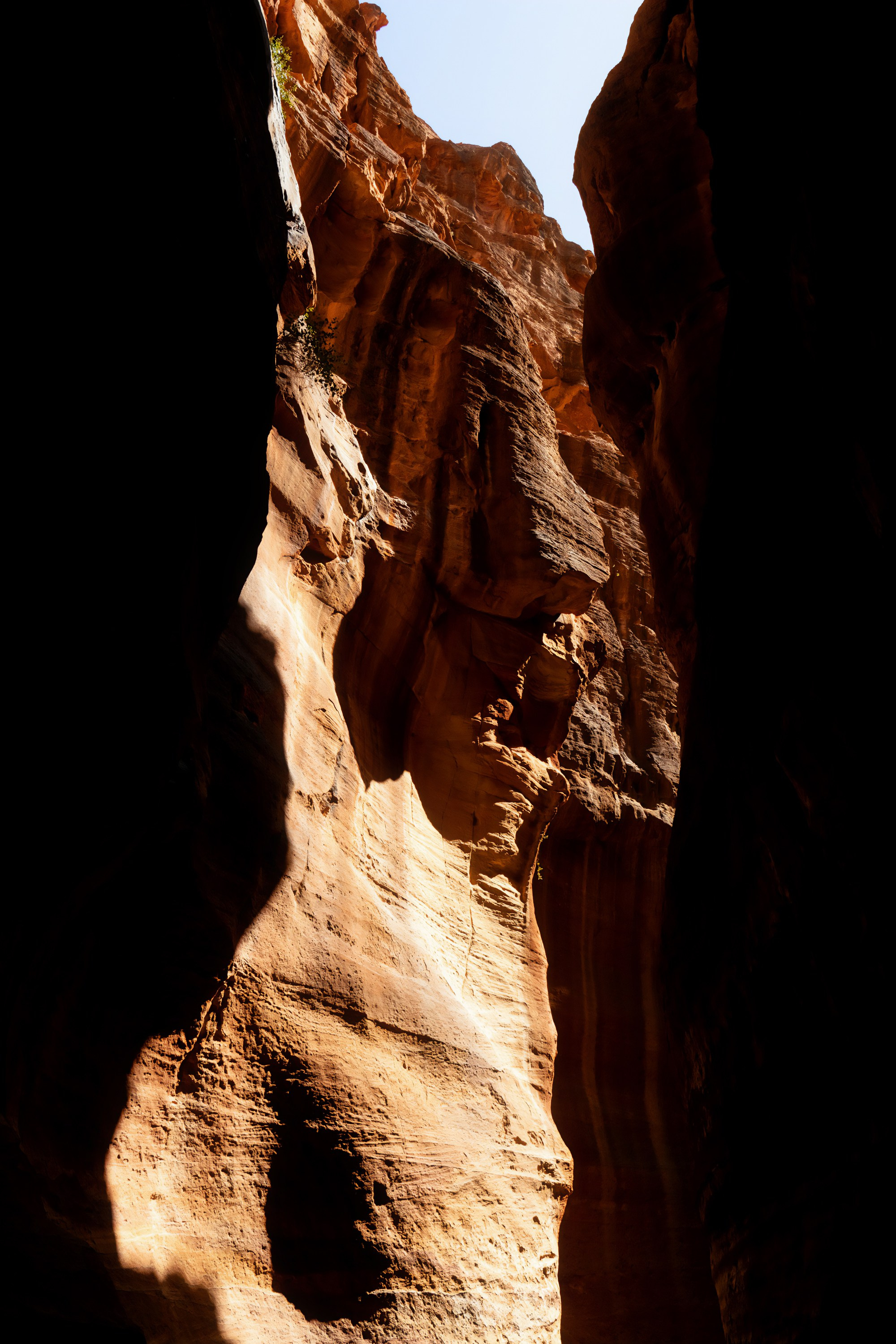 Турция, Греция, Иордания. Фотограф в Хабаровске. Фотография за 24 часа