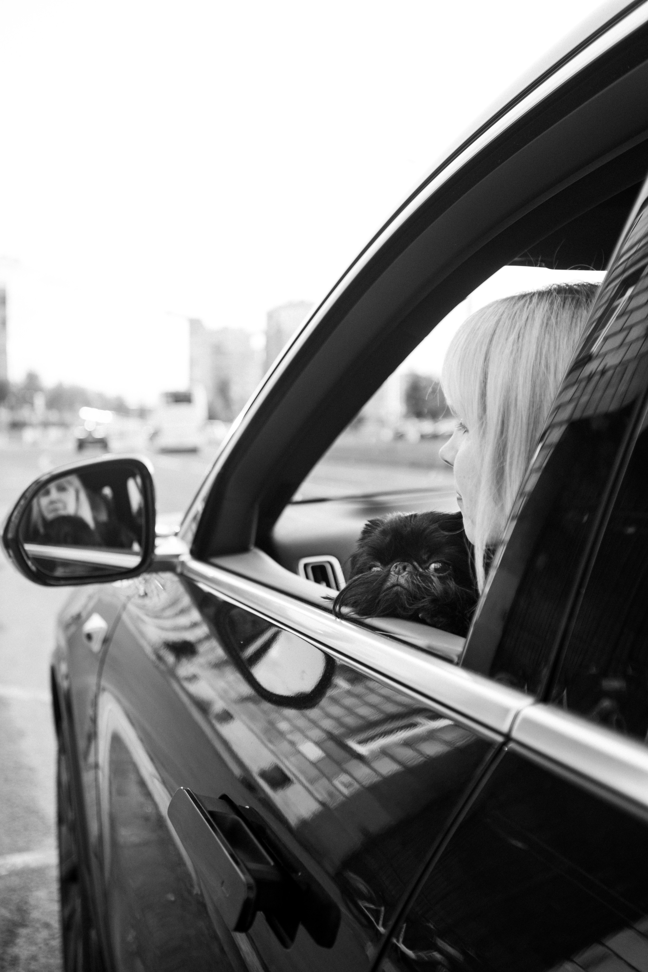 Ася и Кузя. Фотограф анималист Осипчикова Мария