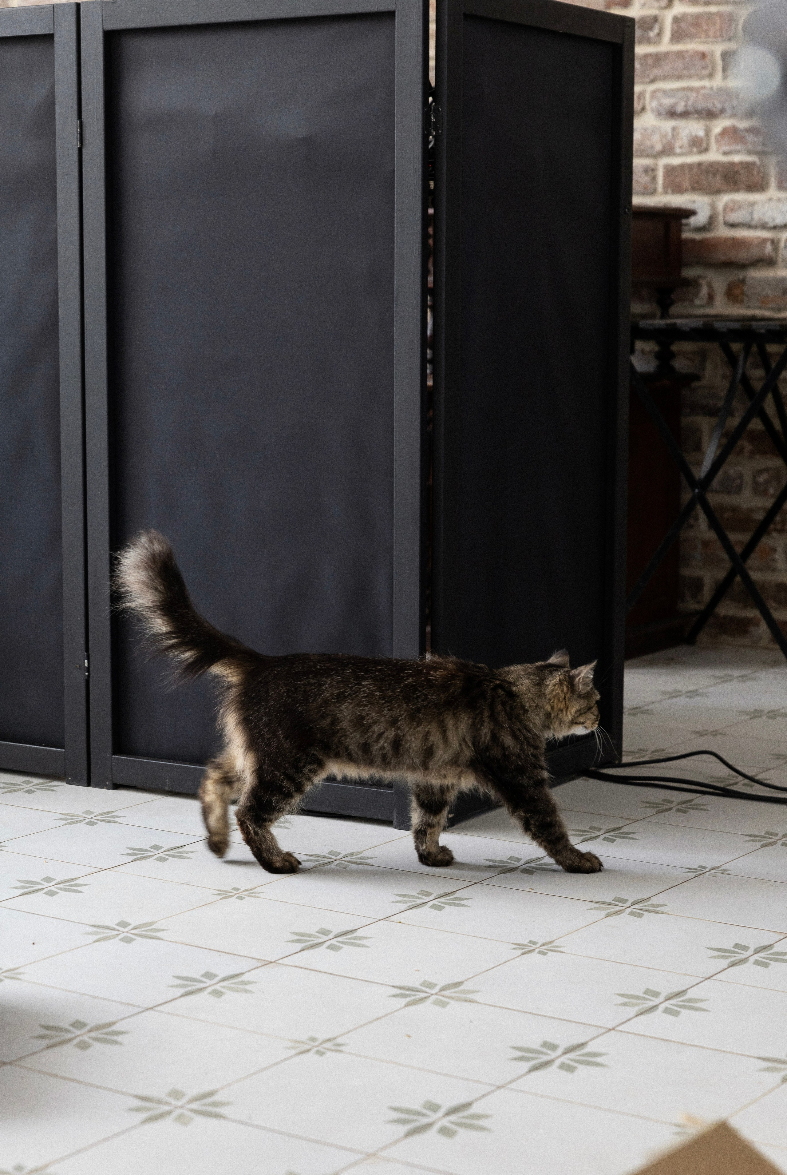 Владислав и Наталья. Свадебный фотограф