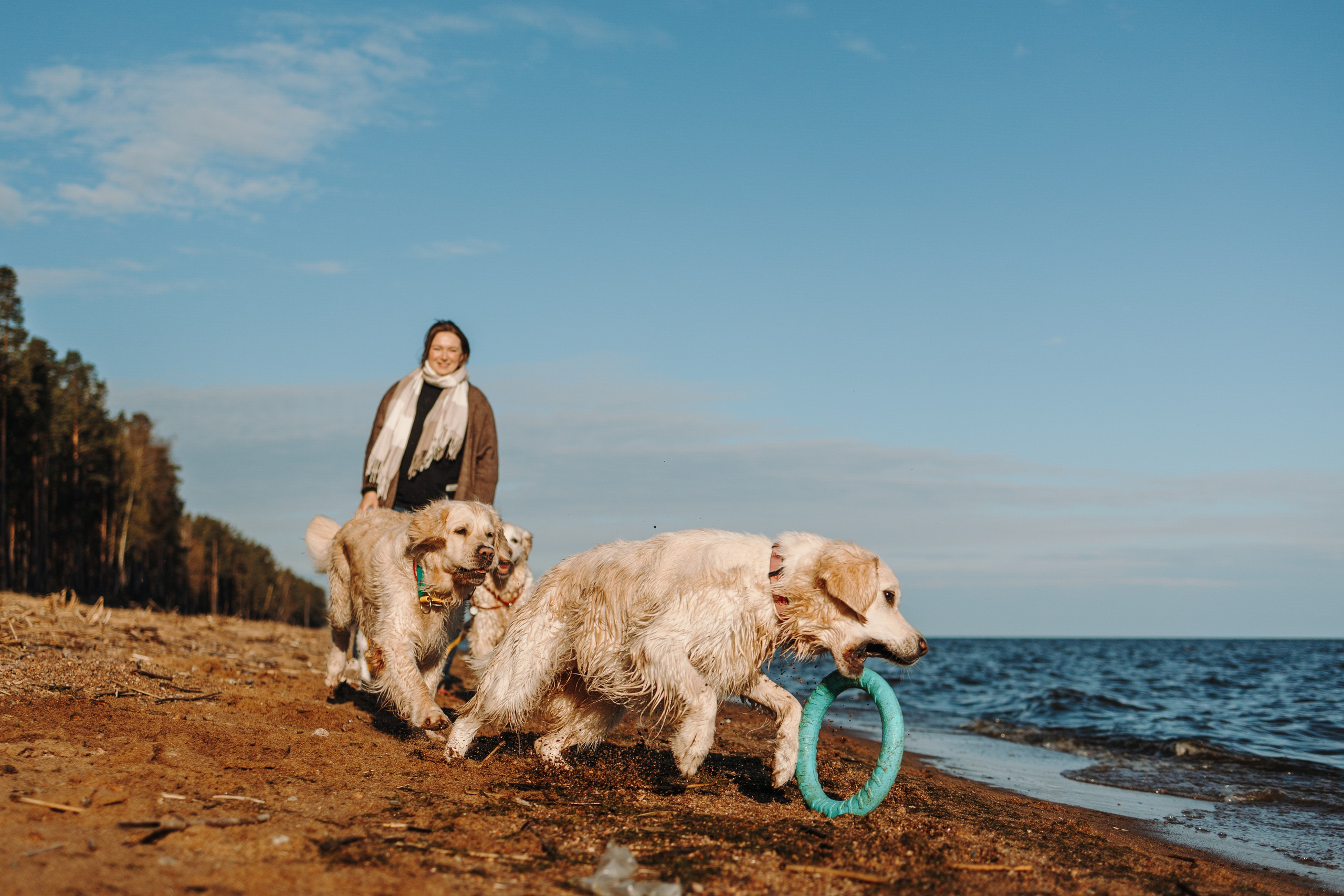 Катя и ее девочки. Фотограф — Анималист | Санкт-Петербург