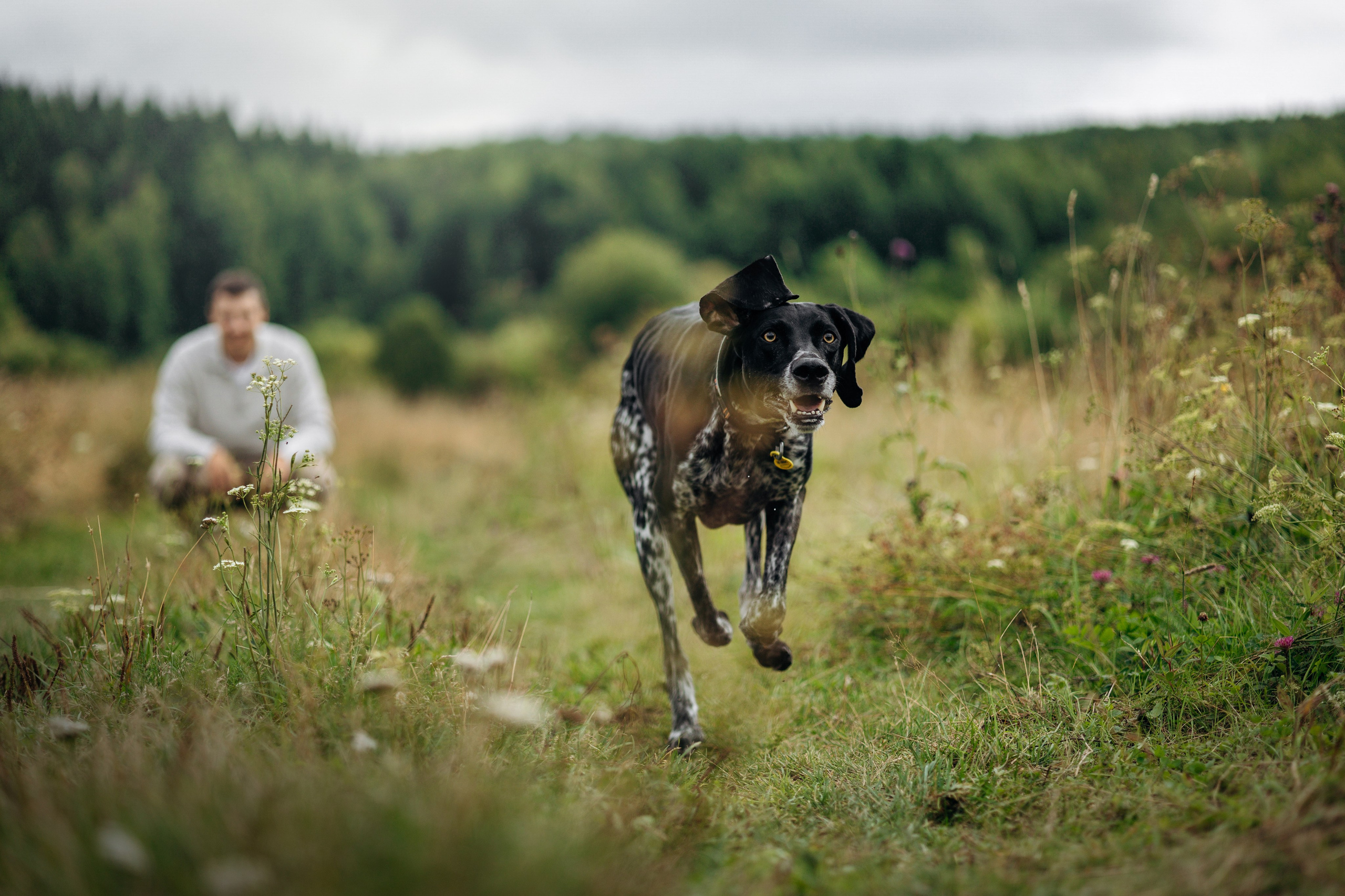 Хеликс и его семья. Фотограф — Анималист | Санкт-Петербург
