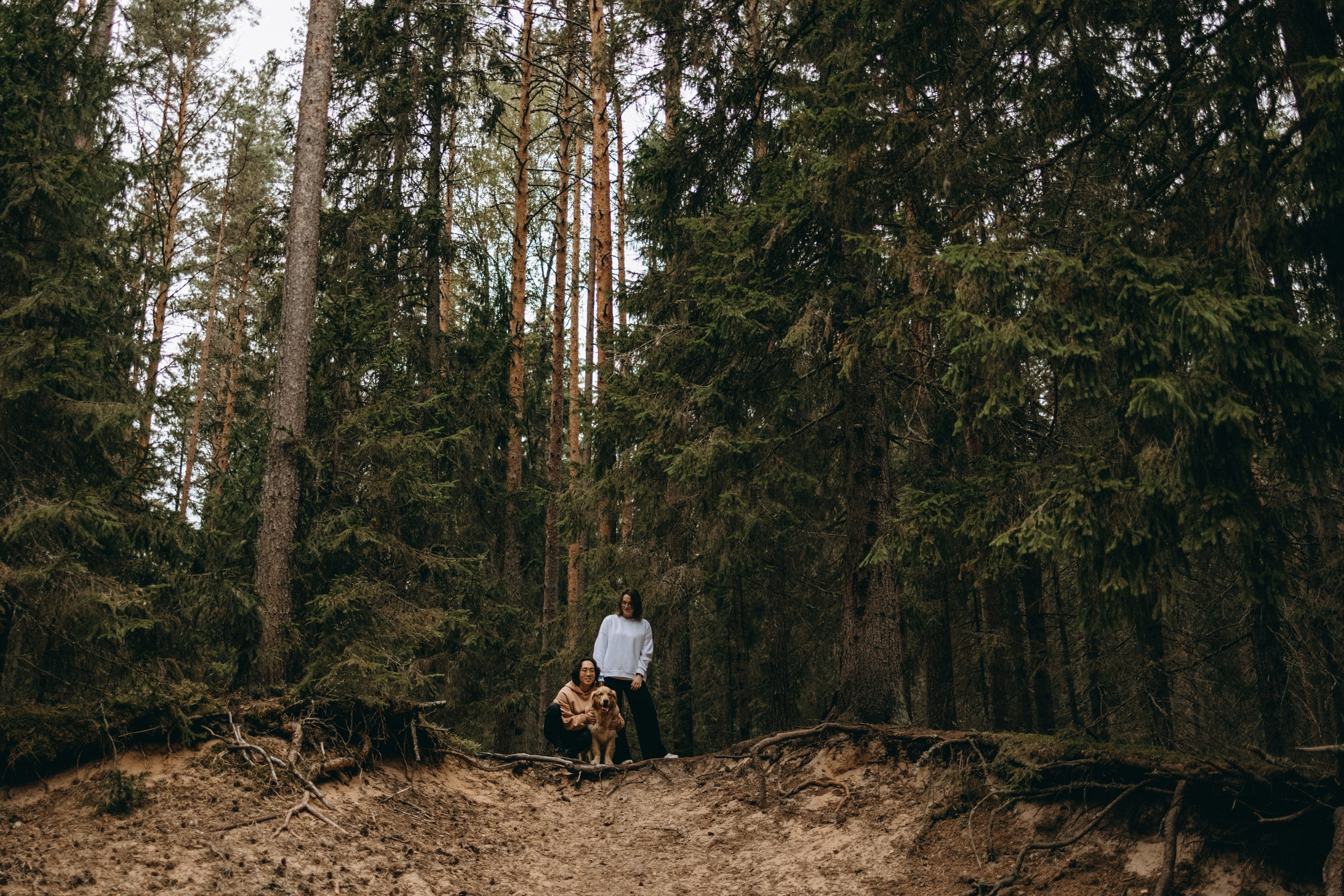 Фоси и его семьи. Фотограф — Анималист | Санкт-Петербург