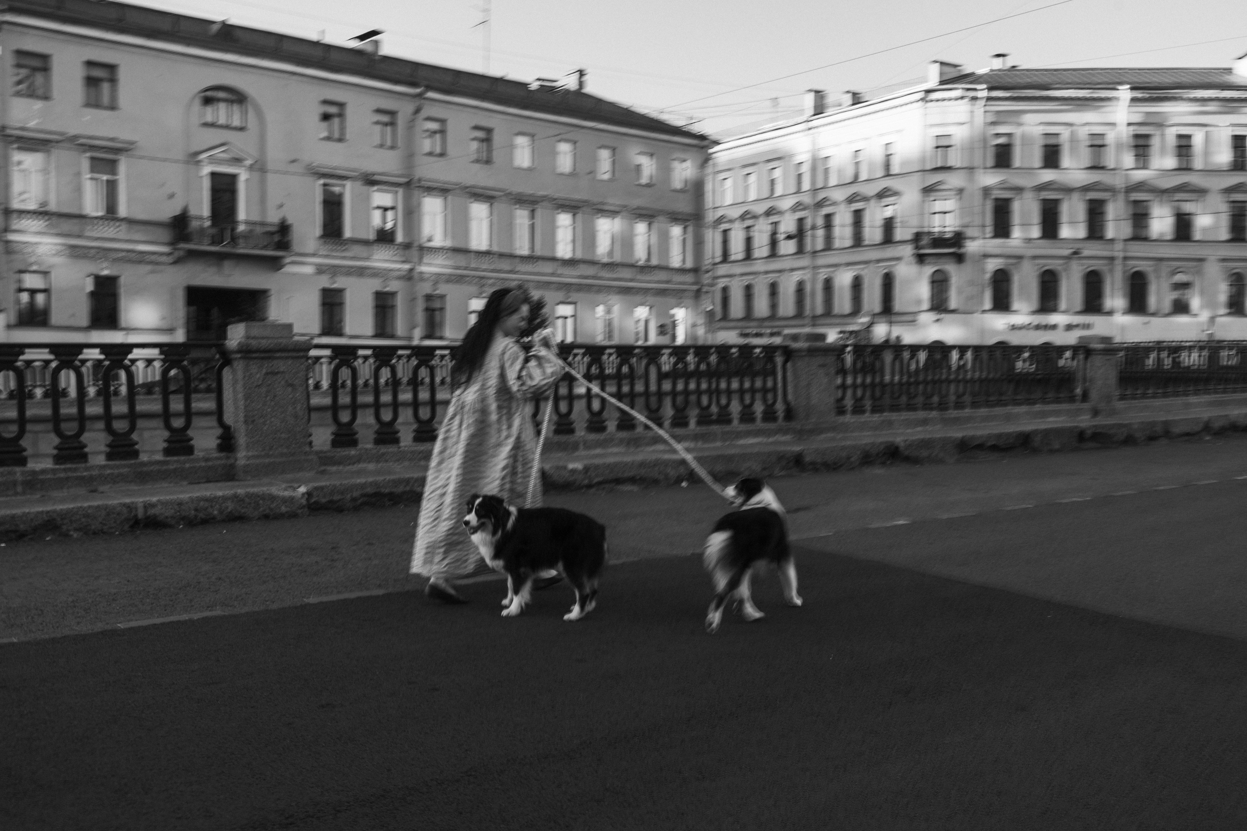 Катя и ее девочки. Фотограф — Анималист | Санкт-Петербург