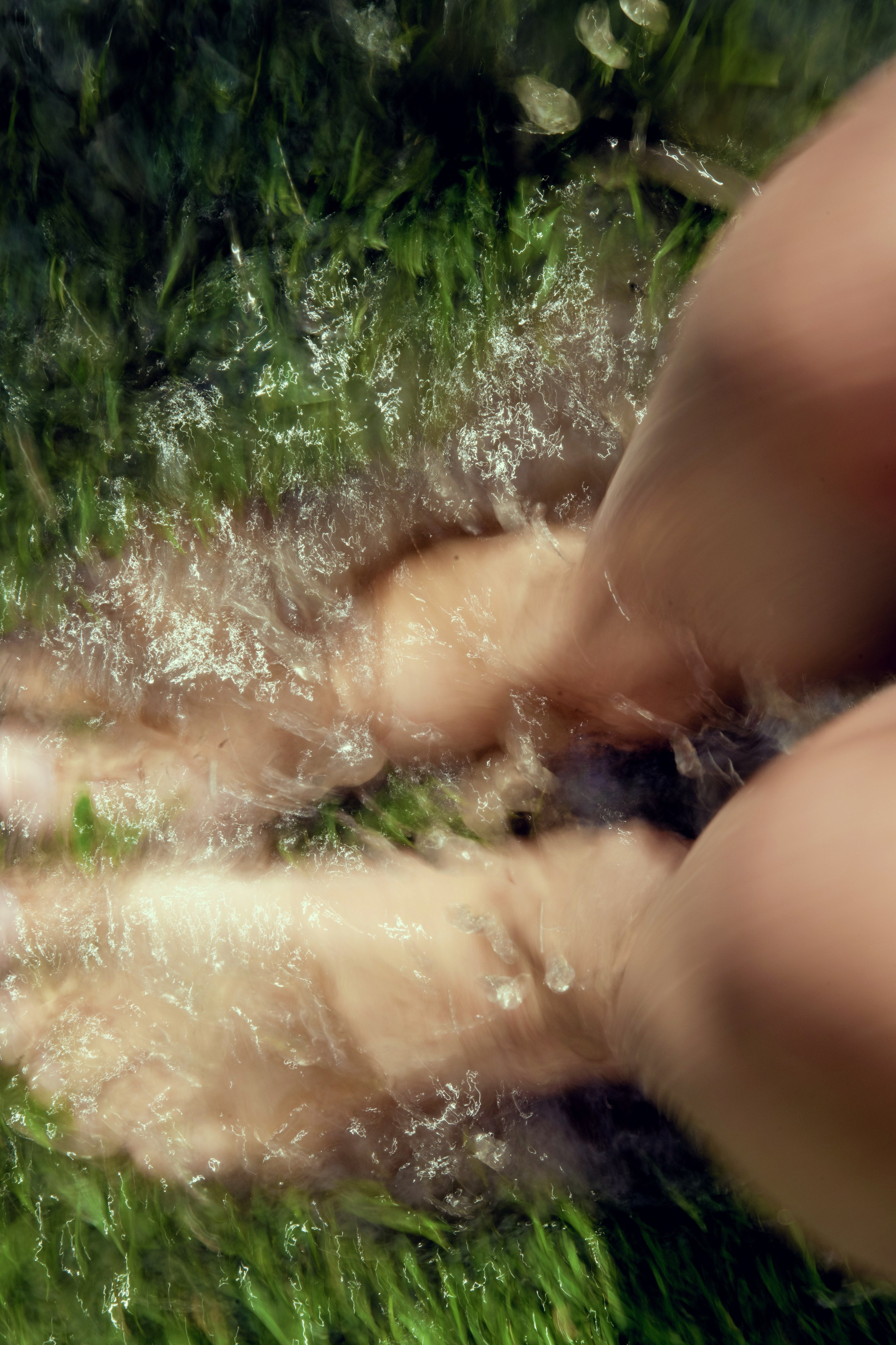 Природа. Александра Панина фотограф, портрет, семья, бизнес, Новосибирск