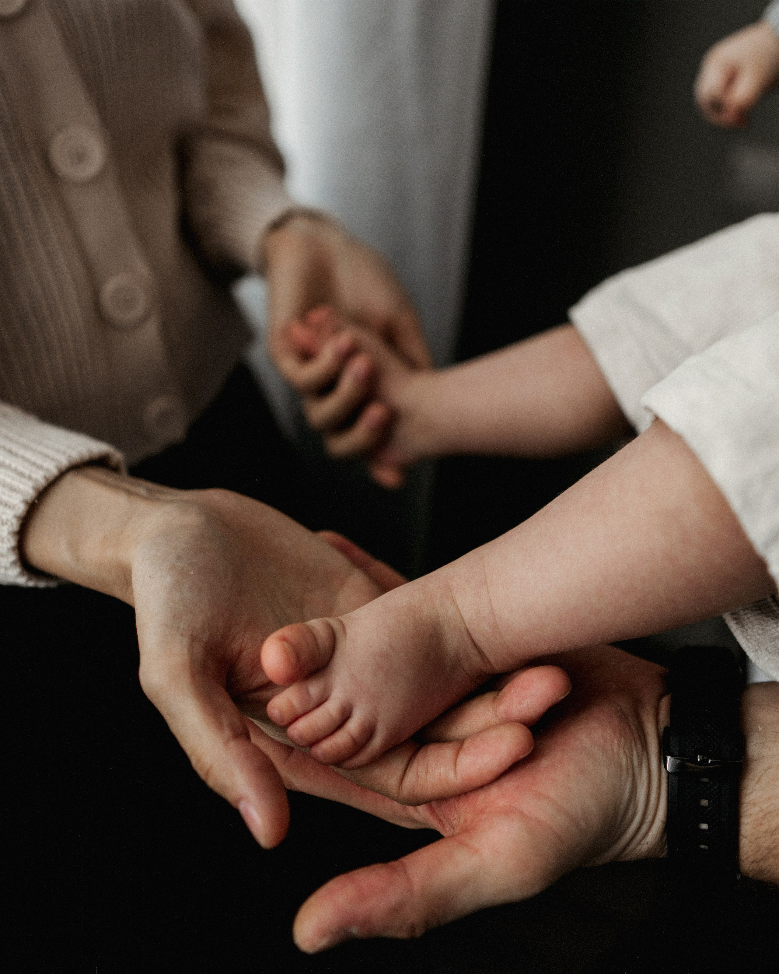 Семья. SHILOVA PHOTO. Шилова Екатерина. Фотограф. Москва