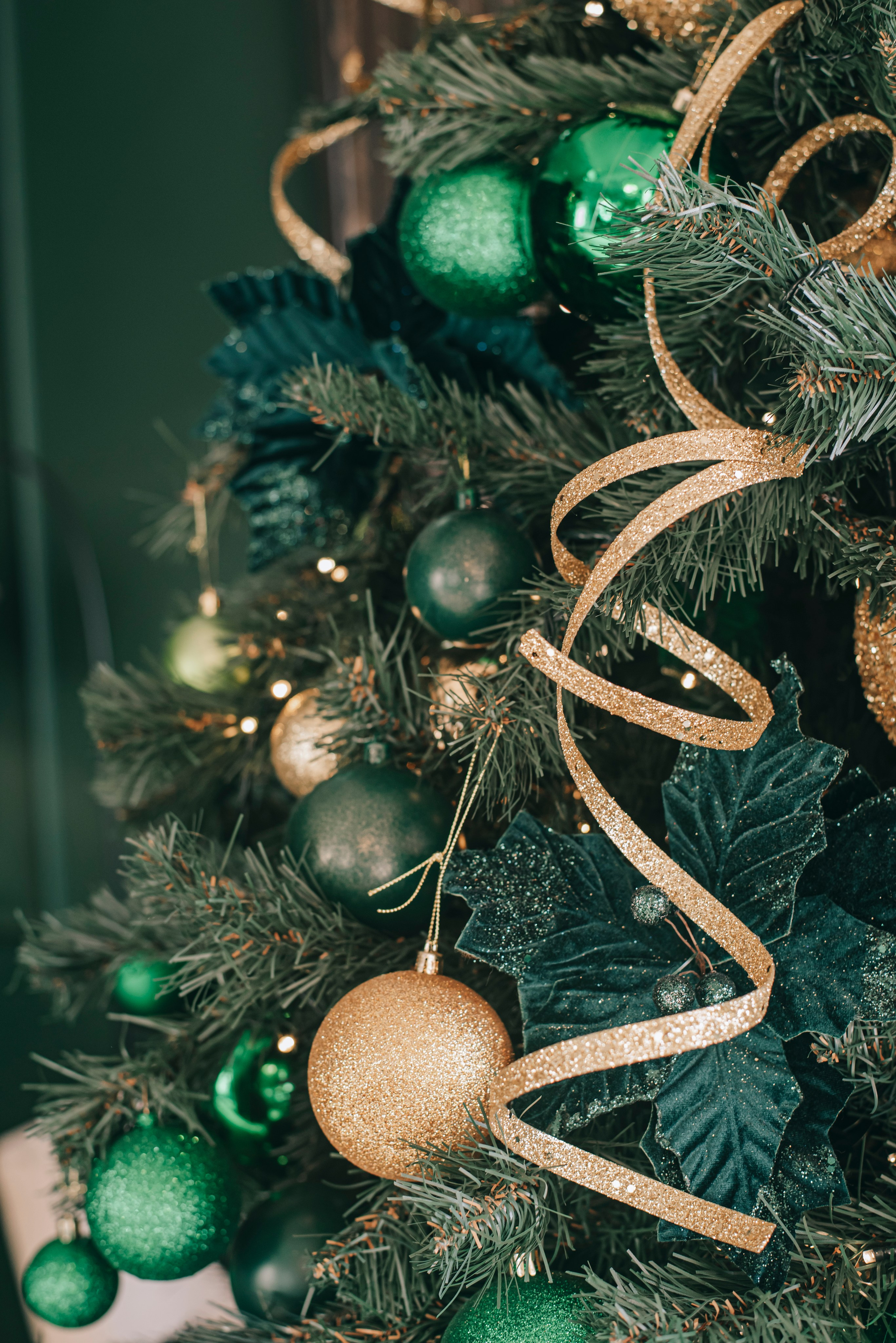 Новогодняя съёмка Никиты, Даши и Варвары. Фотограф в Краснодаре Зеленкина Дарья