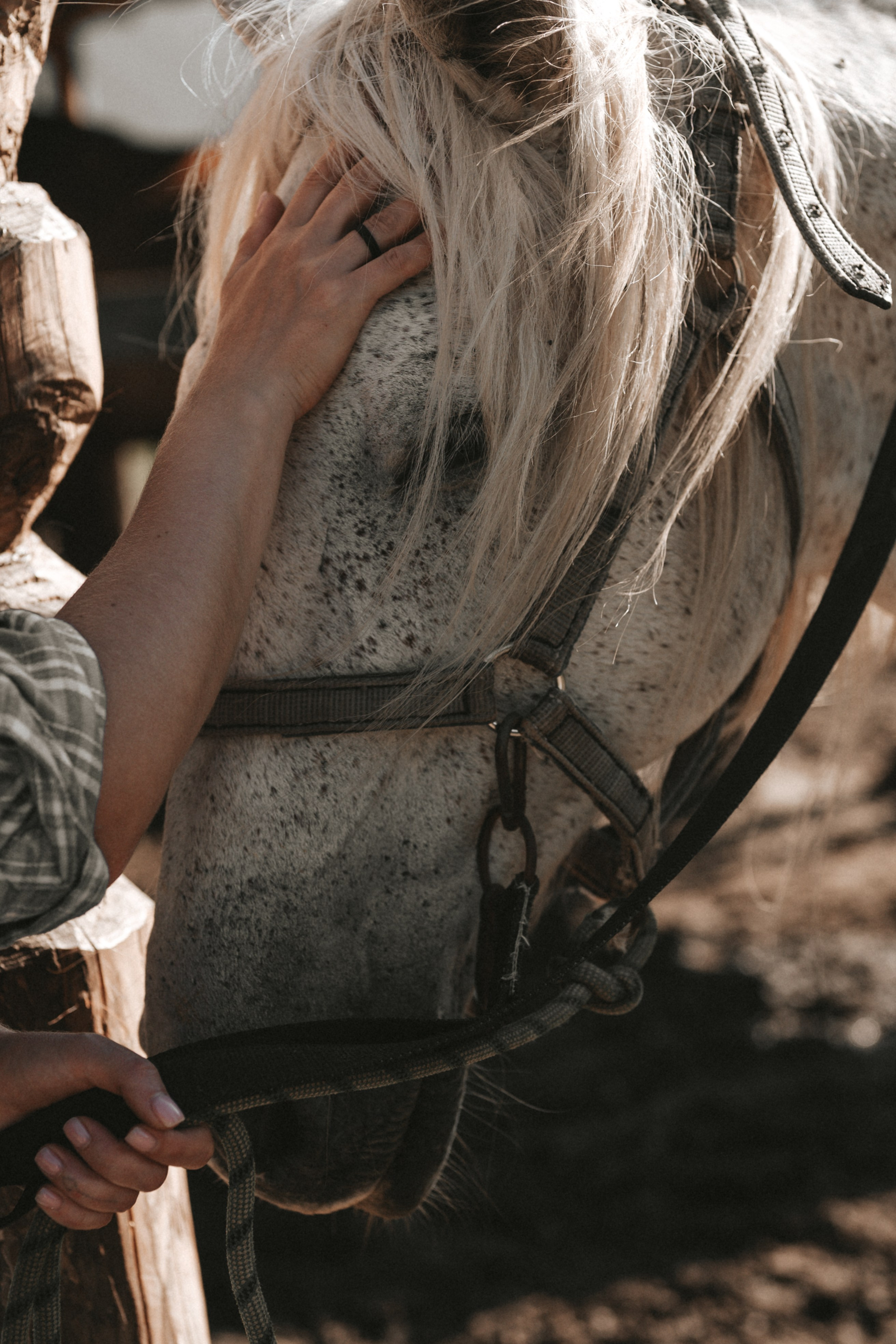 Александра