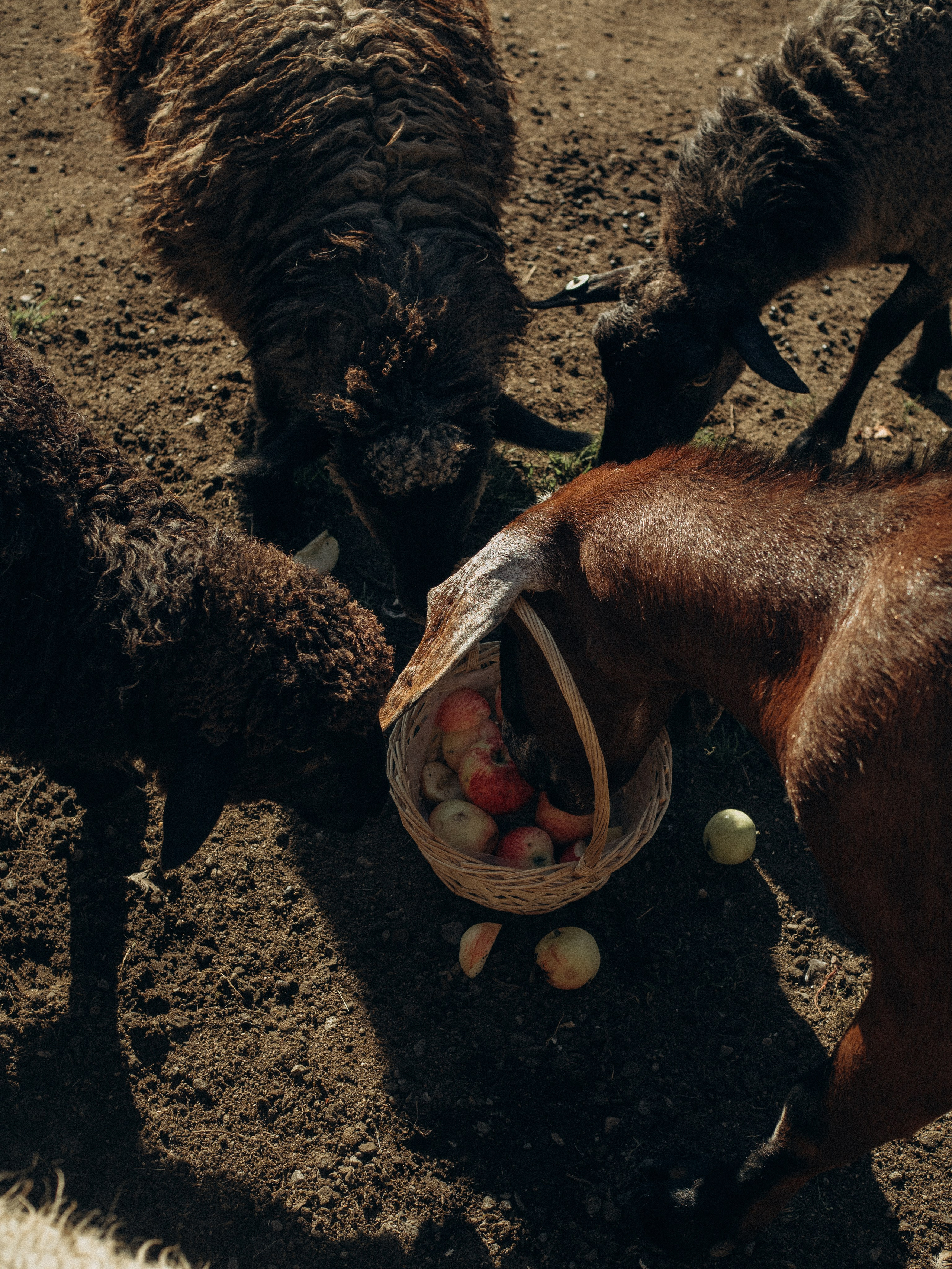 Fam2. Фотограф в Сортавала Карина Буглакова