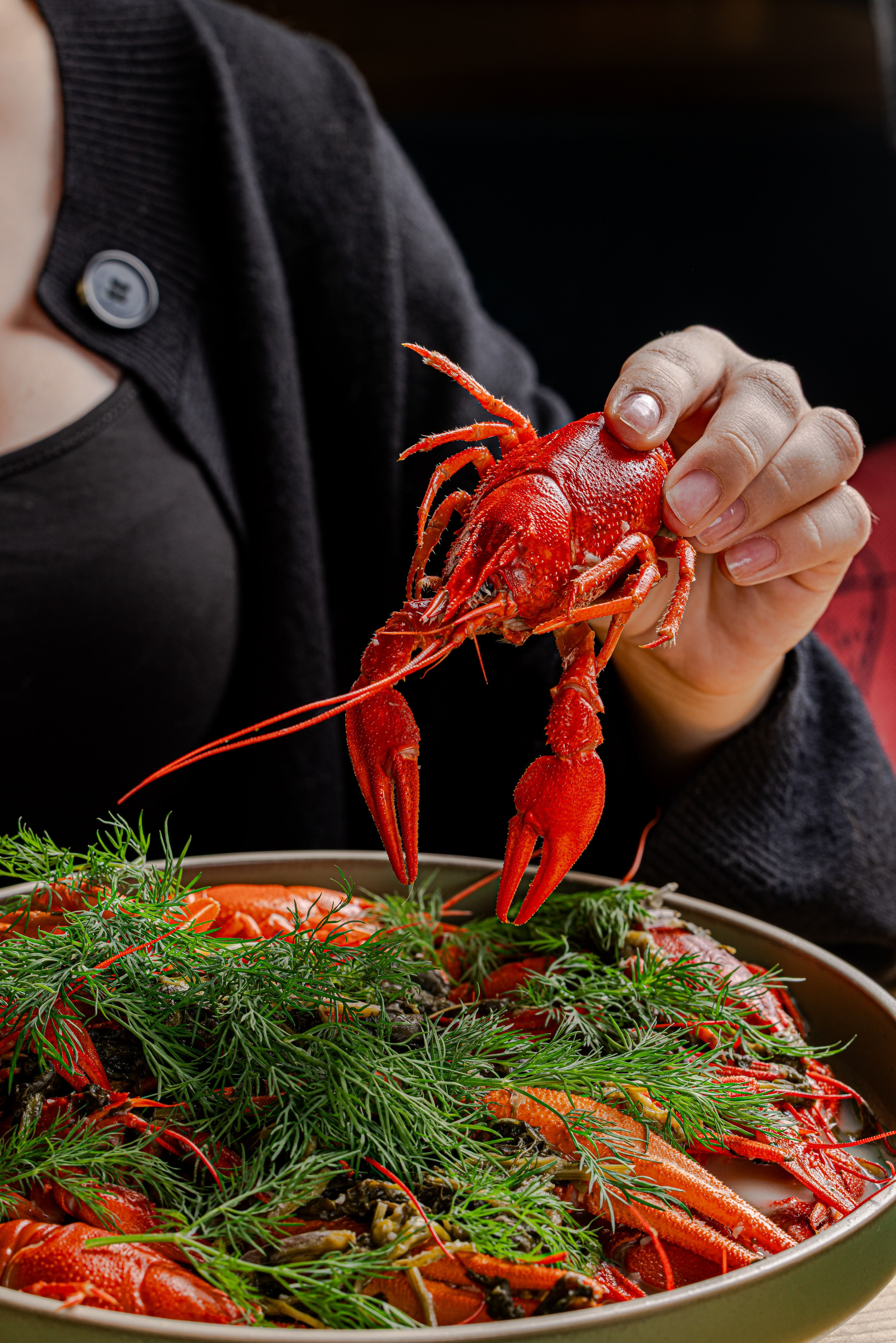 Раки и Гады