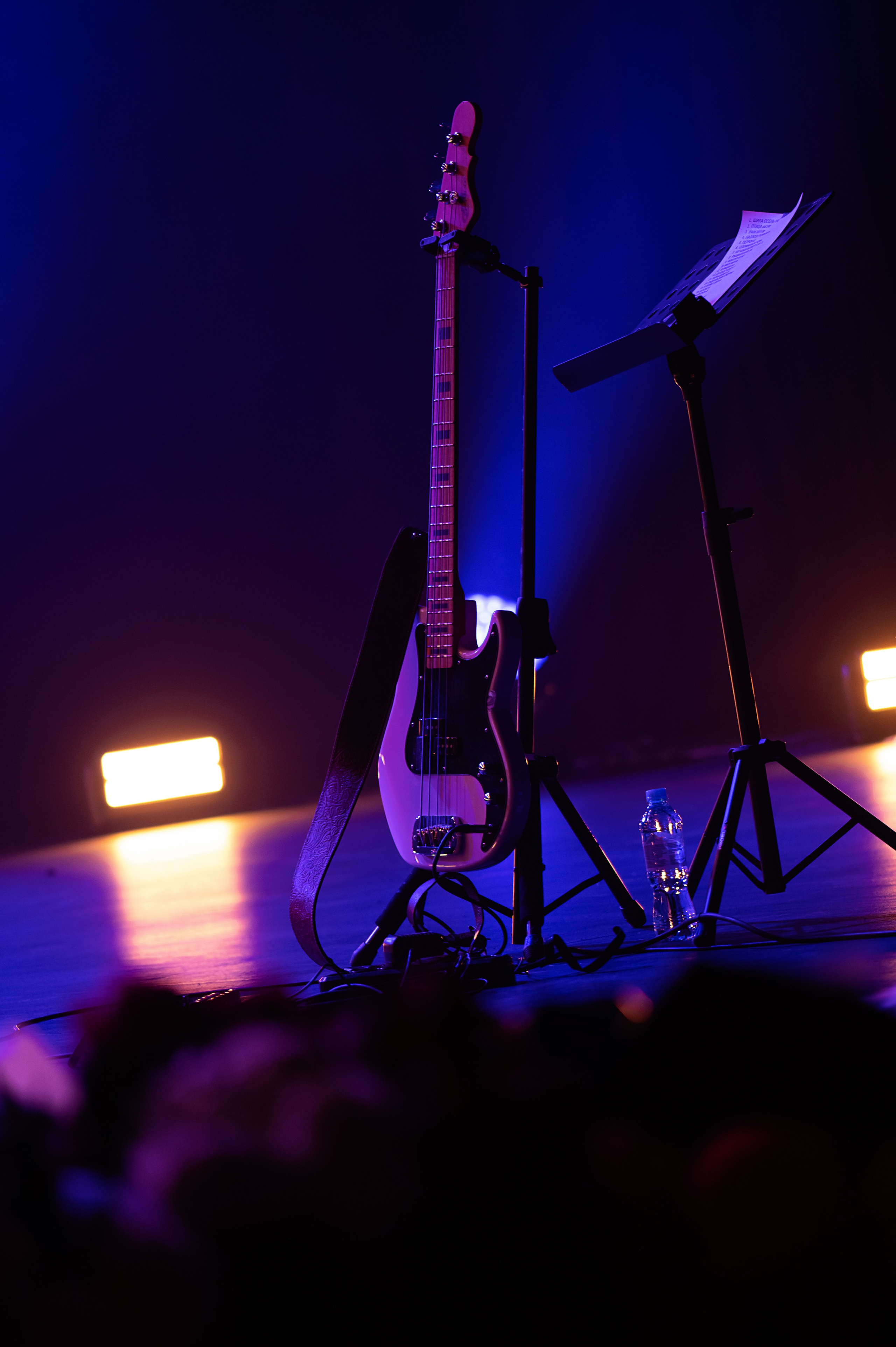 Светлана Сурганова и Оркестр, КЗ Москва, 19.11.2024, концерт. Фотограф в Москве, Оксана Ребристая